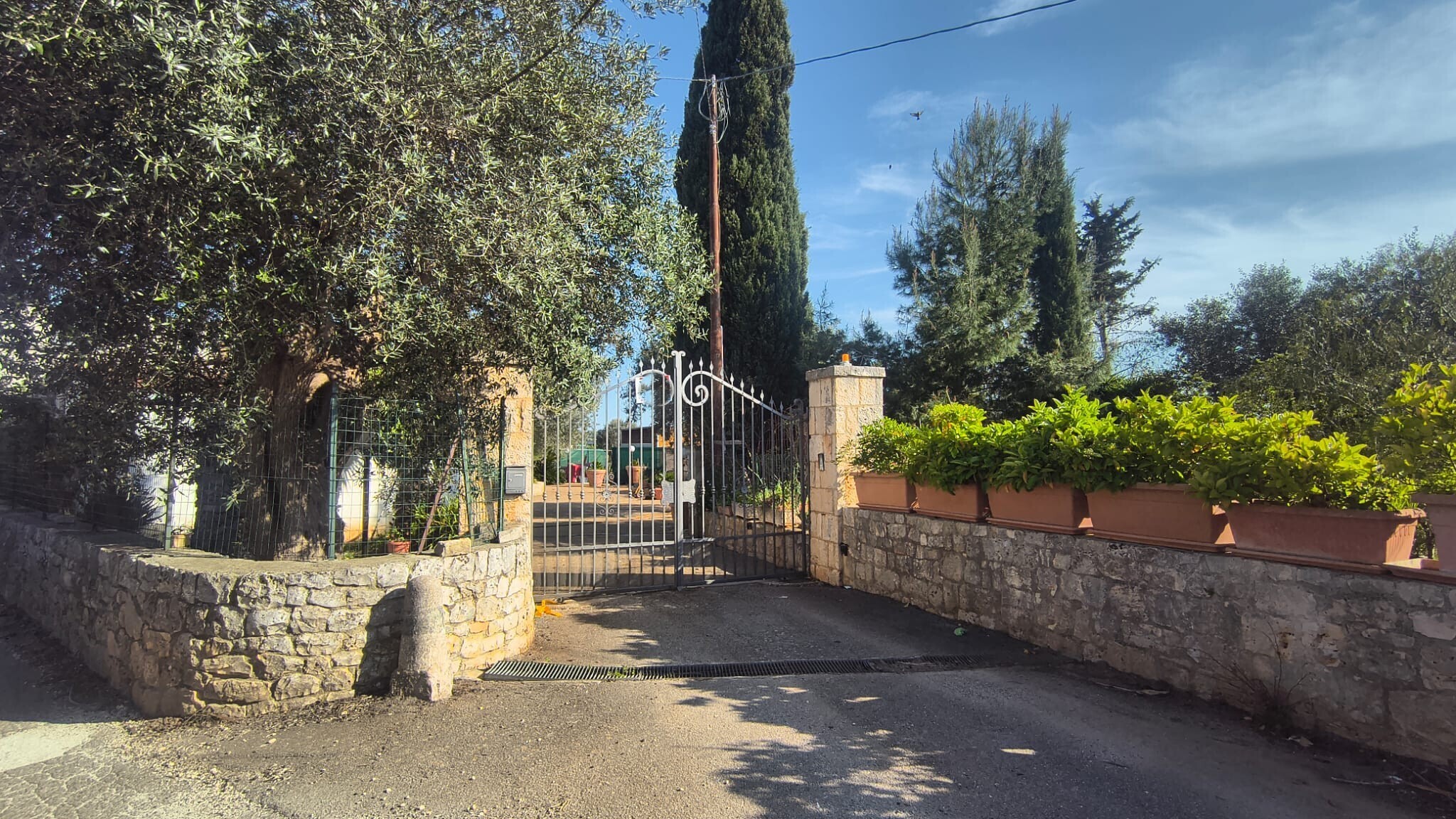 Foto annuncio 5