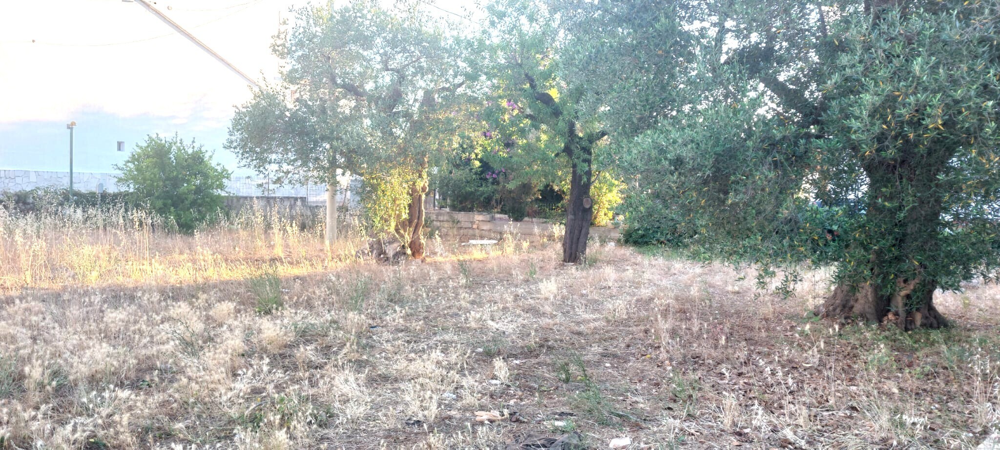 Foto annuncio 3