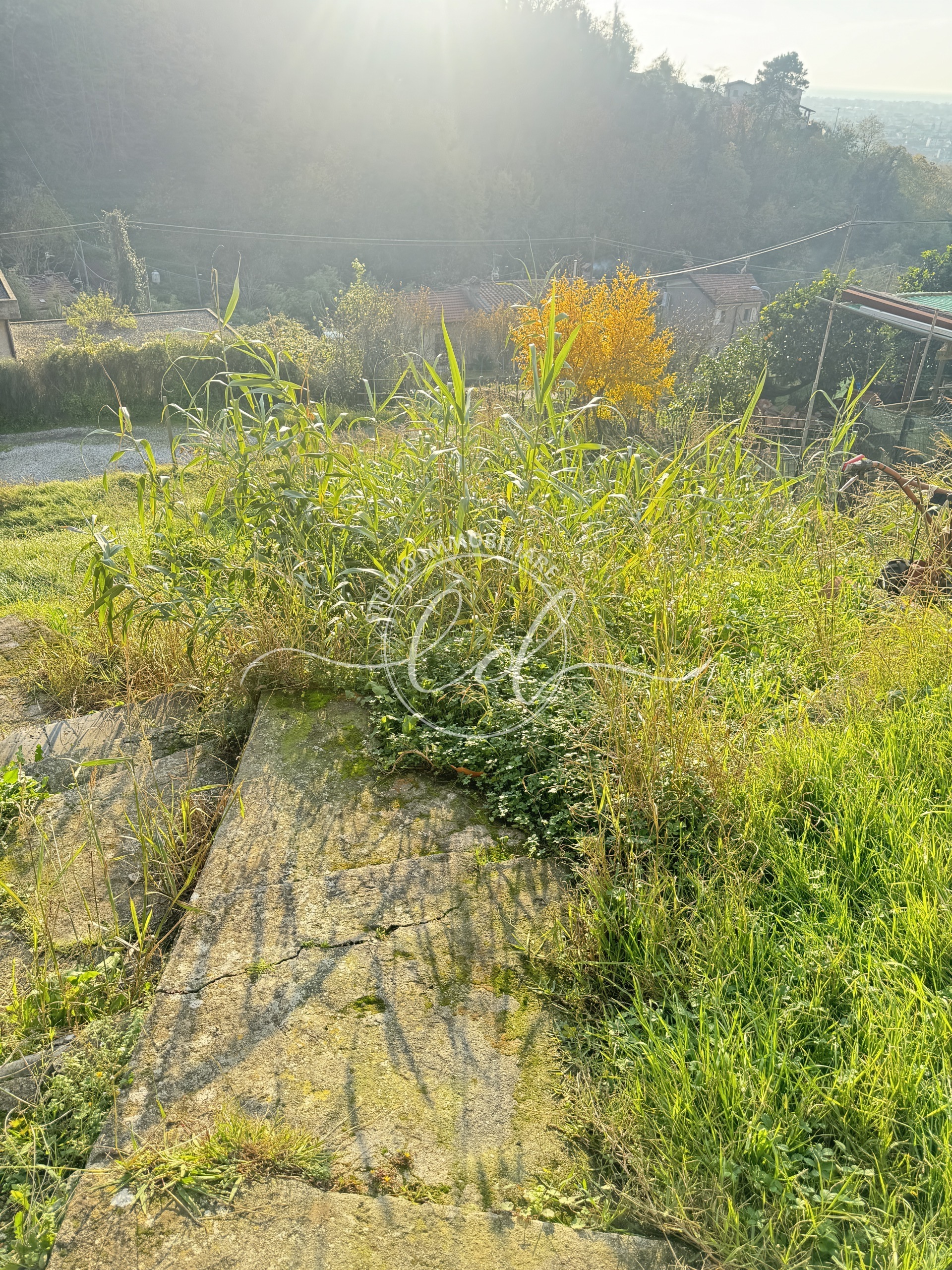 Immagine 39 di Porzione di casa in vendita  a Pietrasanta