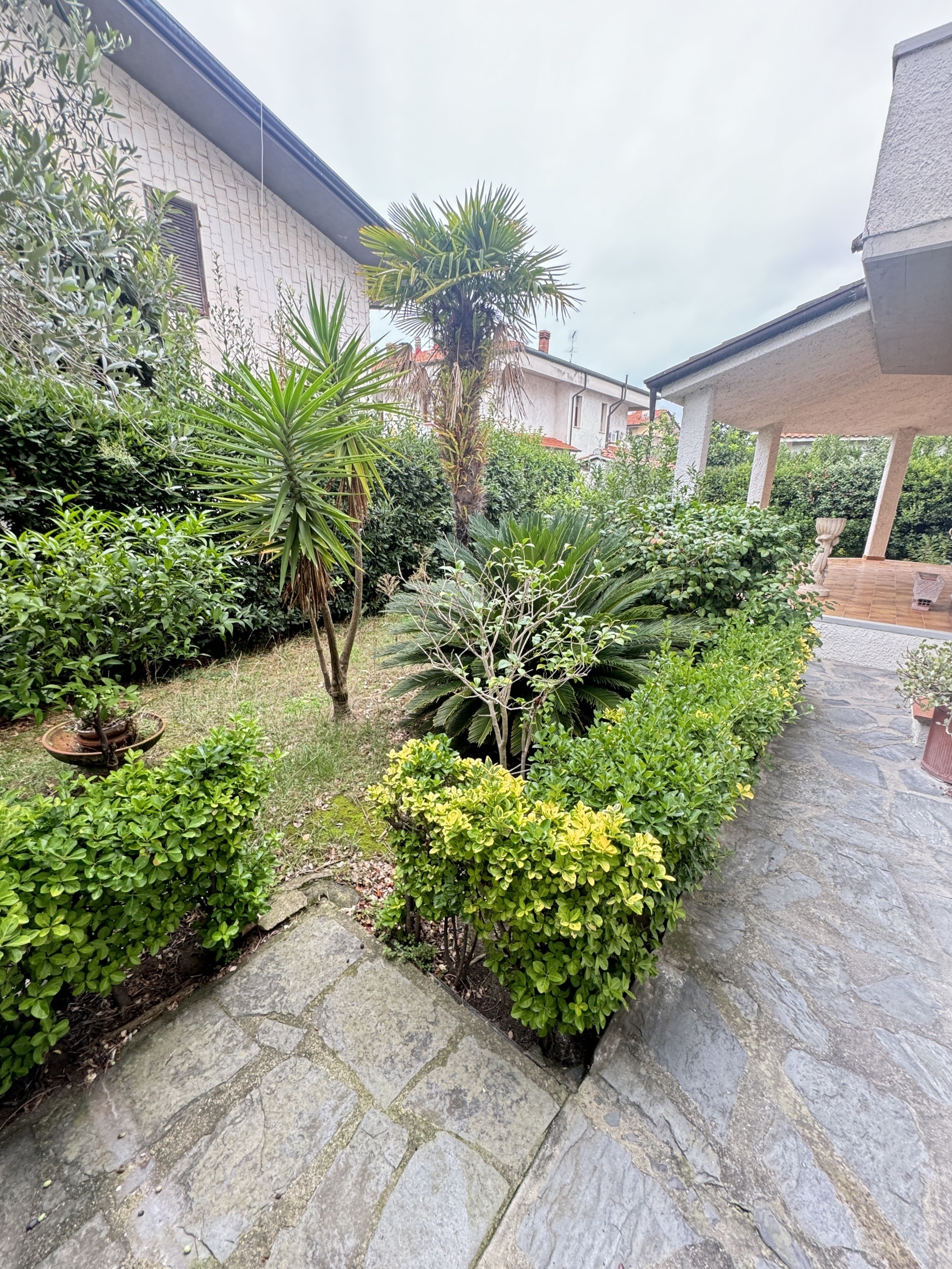 Immagine 22 di Casa indipendente in vendita  a Viareggio