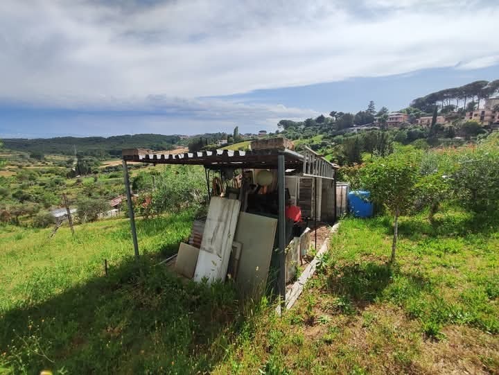 Immagine 14 di Terreno agricolo in vendita  in via monte palombino a Fonte Nuova