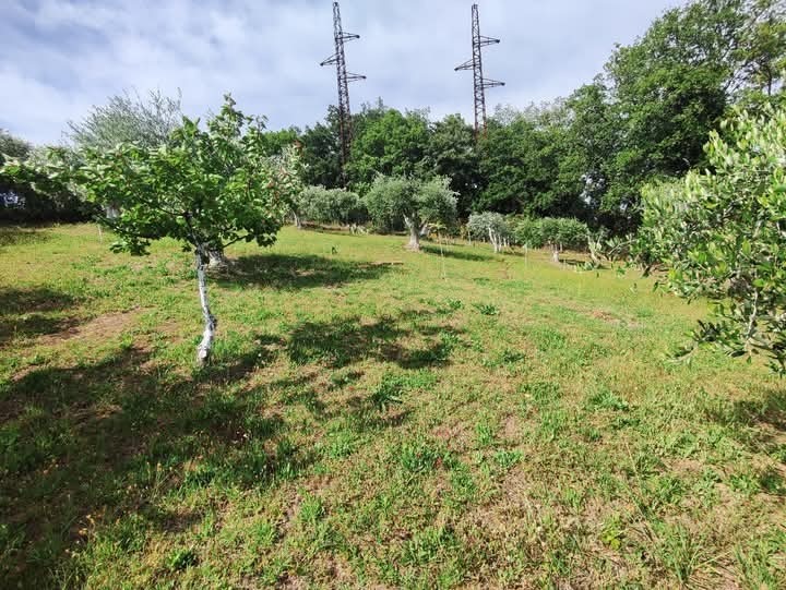 Immagine 17 di Terreno agricolo in vendita  in via monte palombino a Fonte Nuova