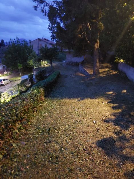 Foto annuncio 6