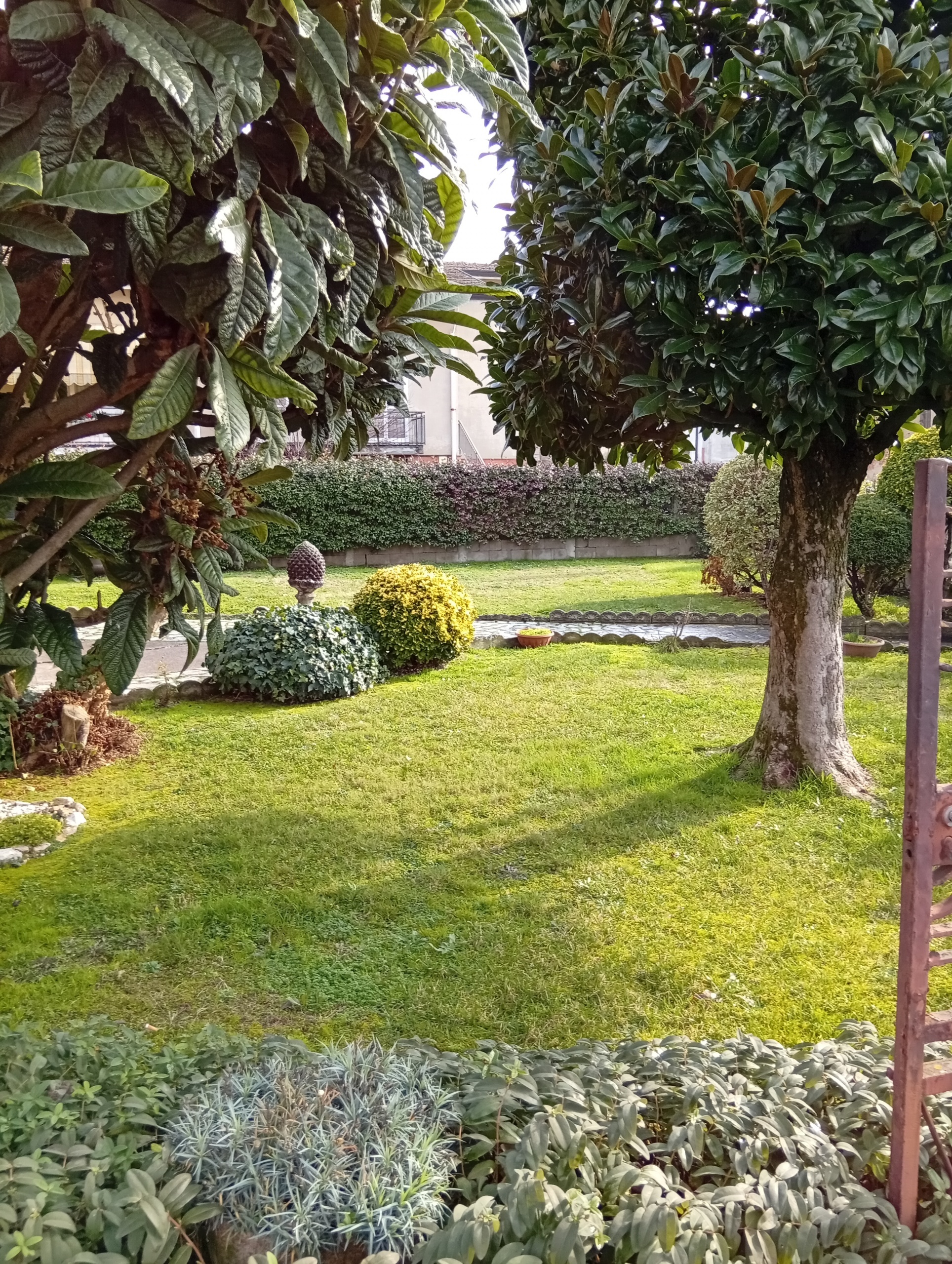 Foto annuncio 7