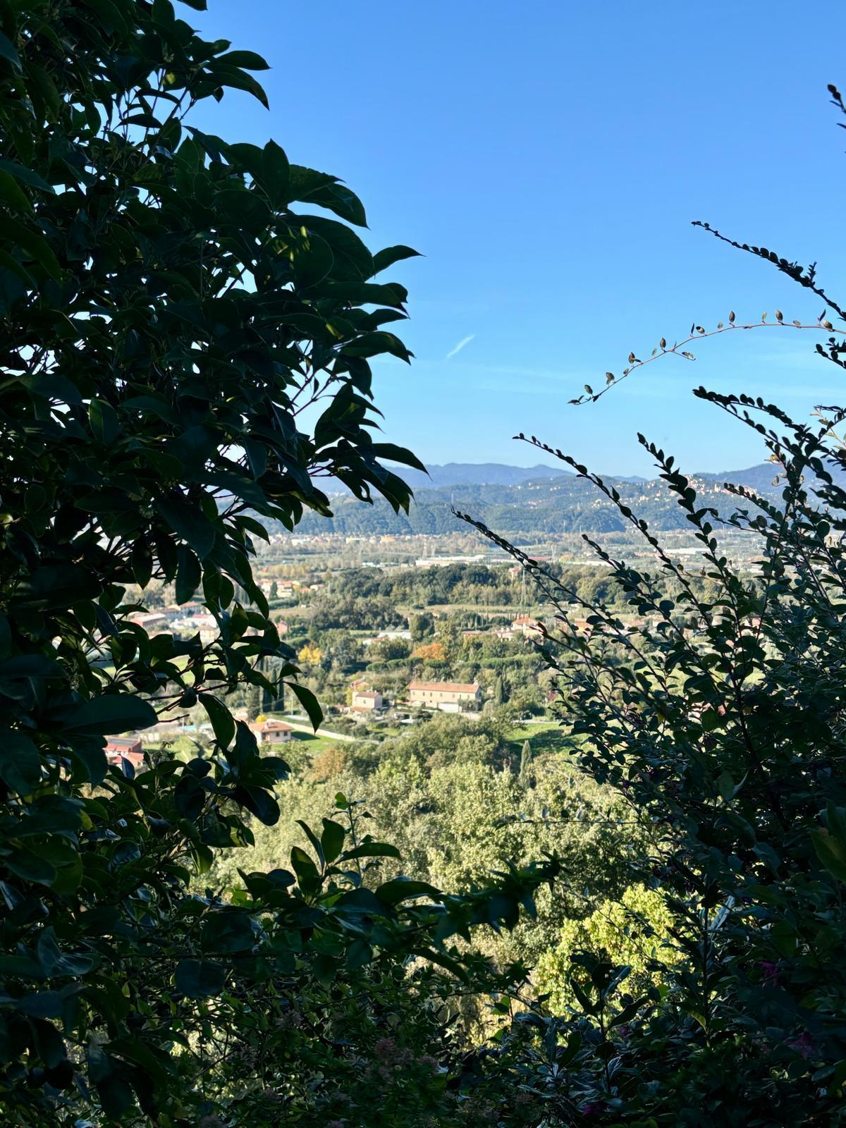 Foto annuncio 8