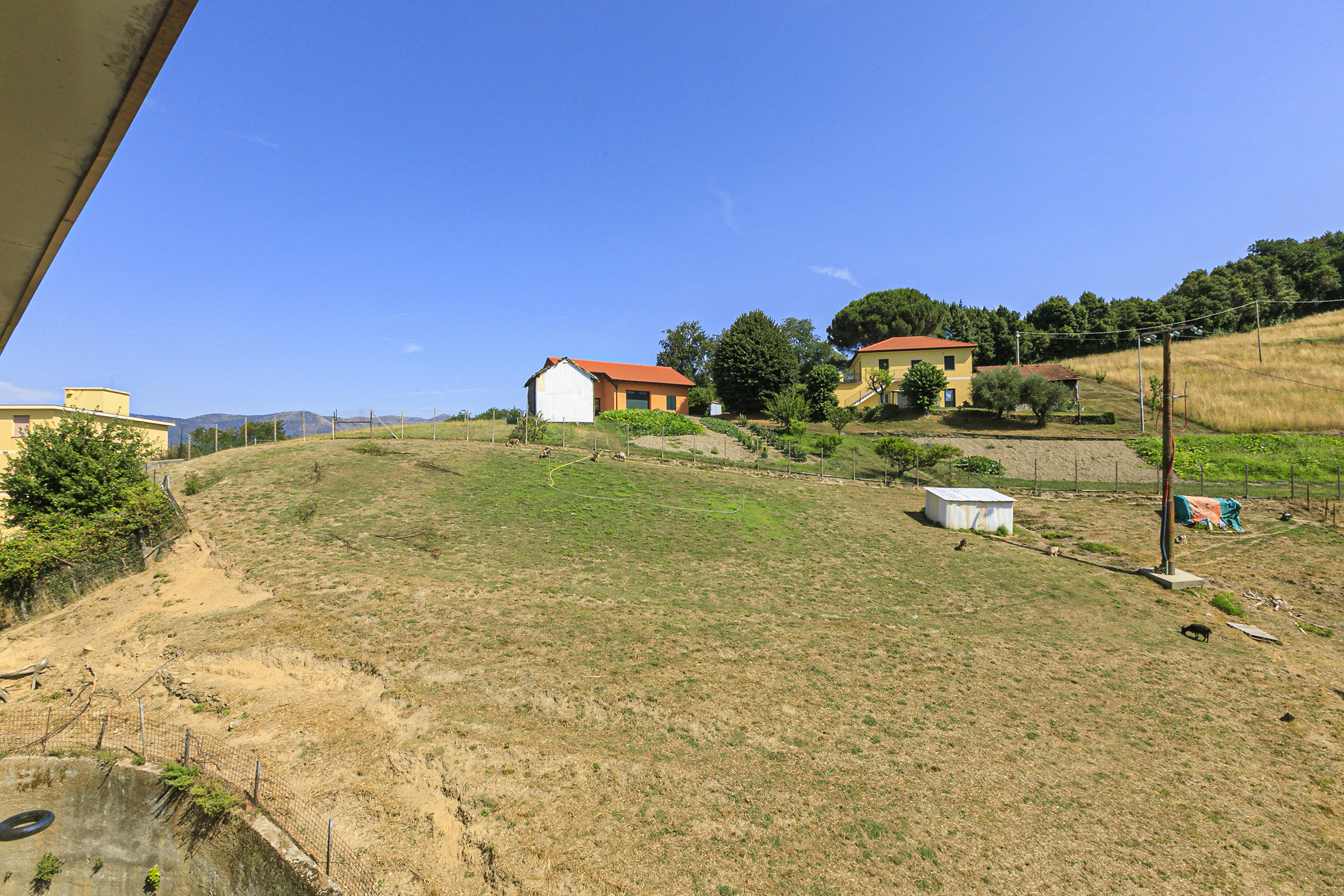 Foto annuncio 8