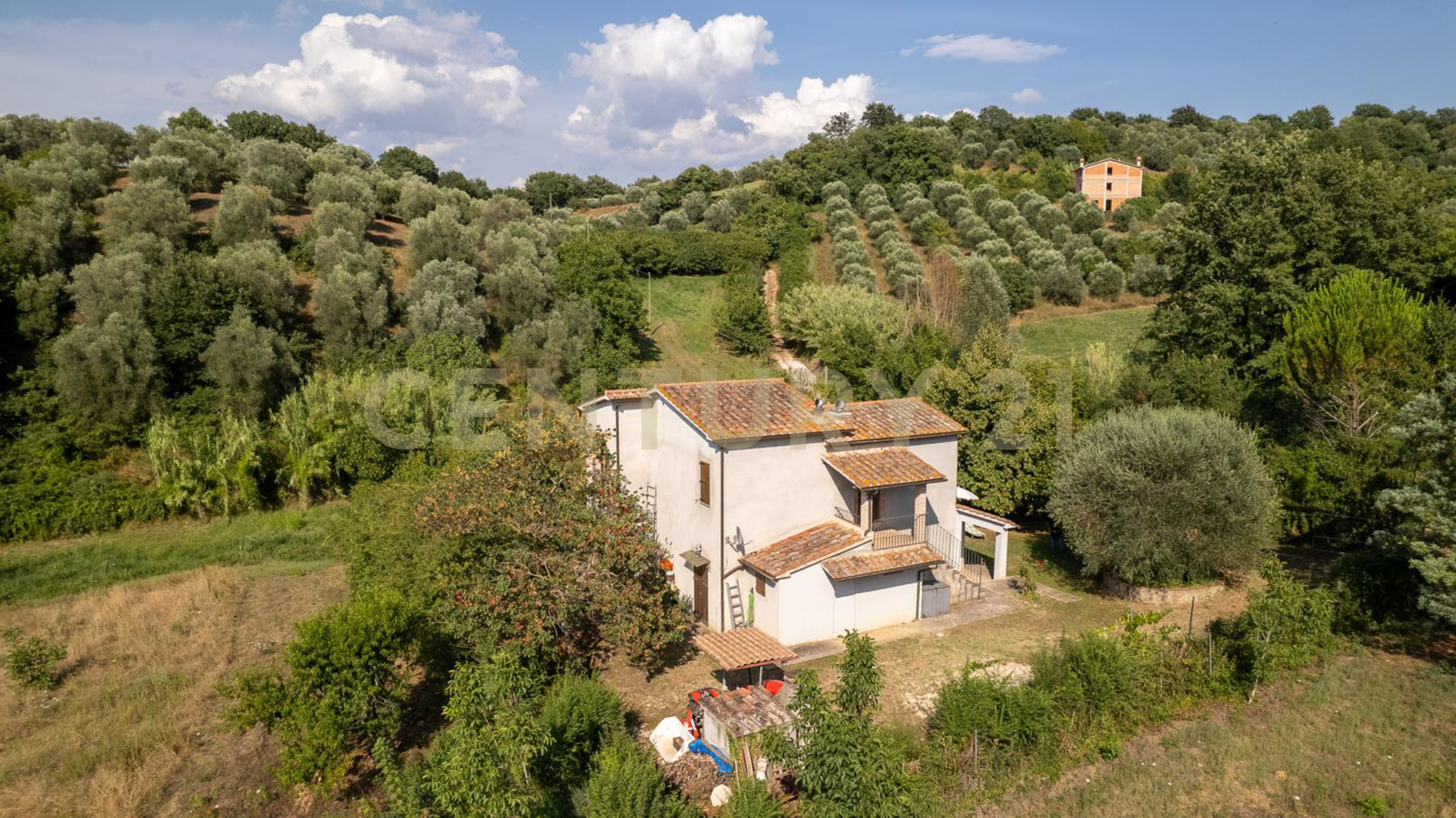 Immagine 28 di Villa in vendita  in localtà poderi di montemerano snc a Manciano
