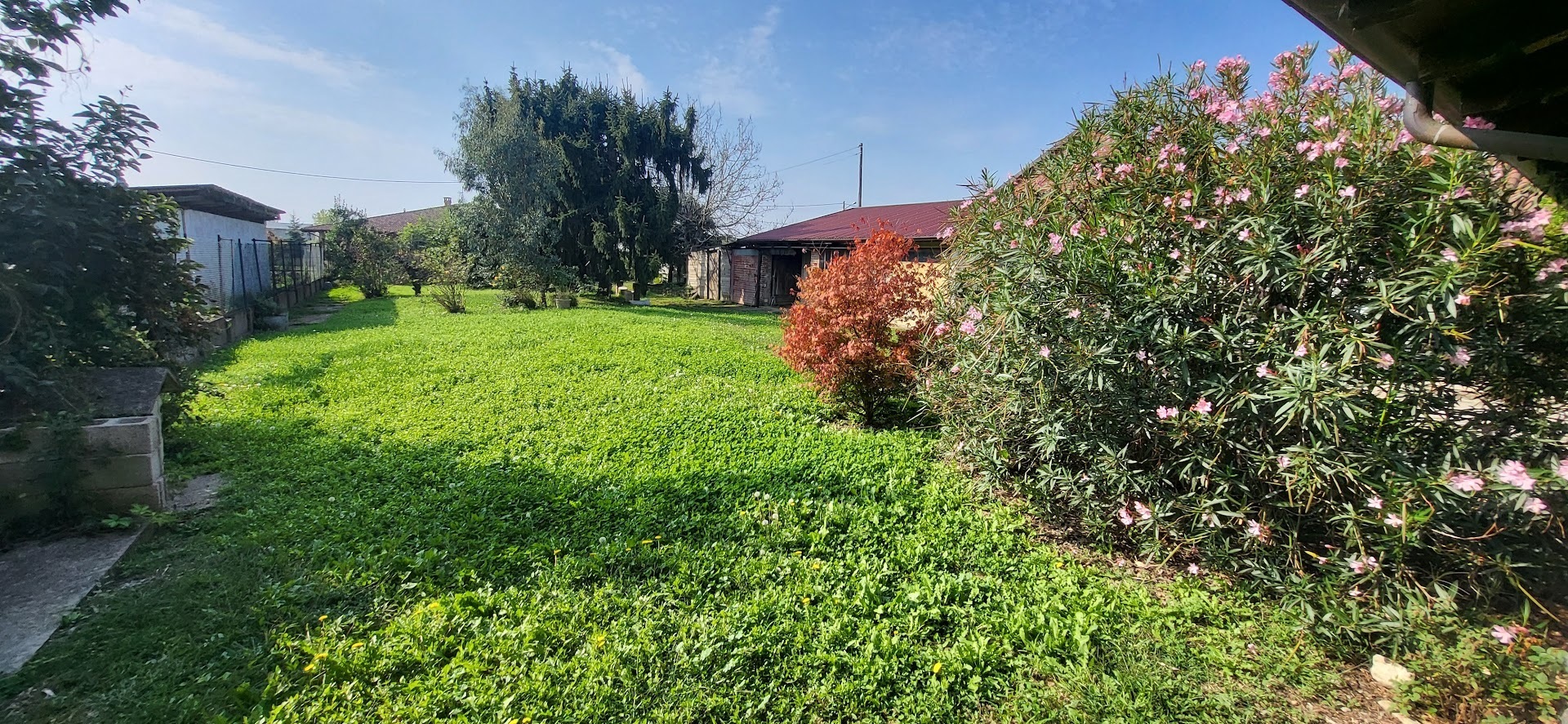 Foto annuncio 18