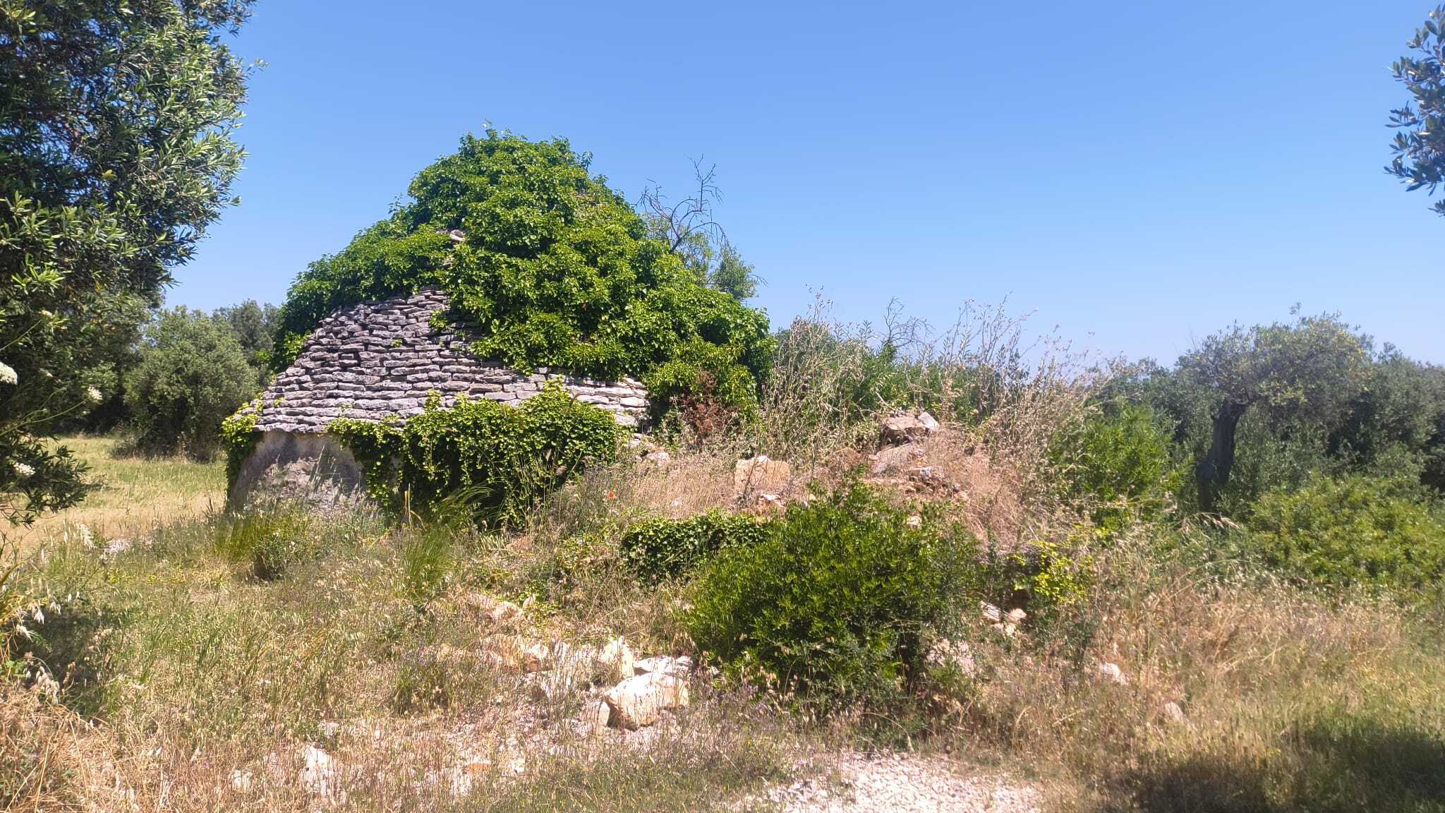 Foto annuncio 2