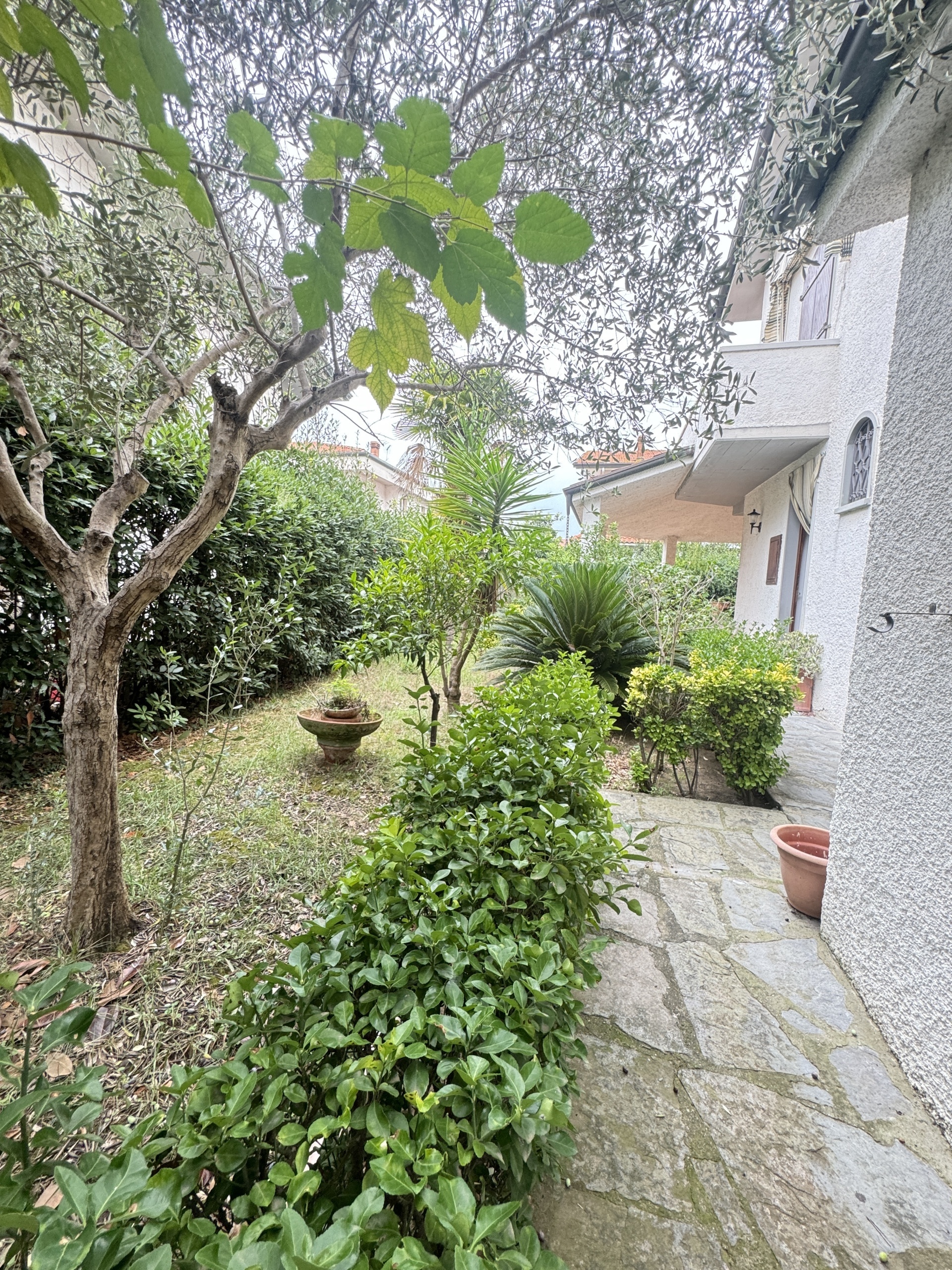 Immagine 26 di Casa indipendente in vendita  a Viareggio