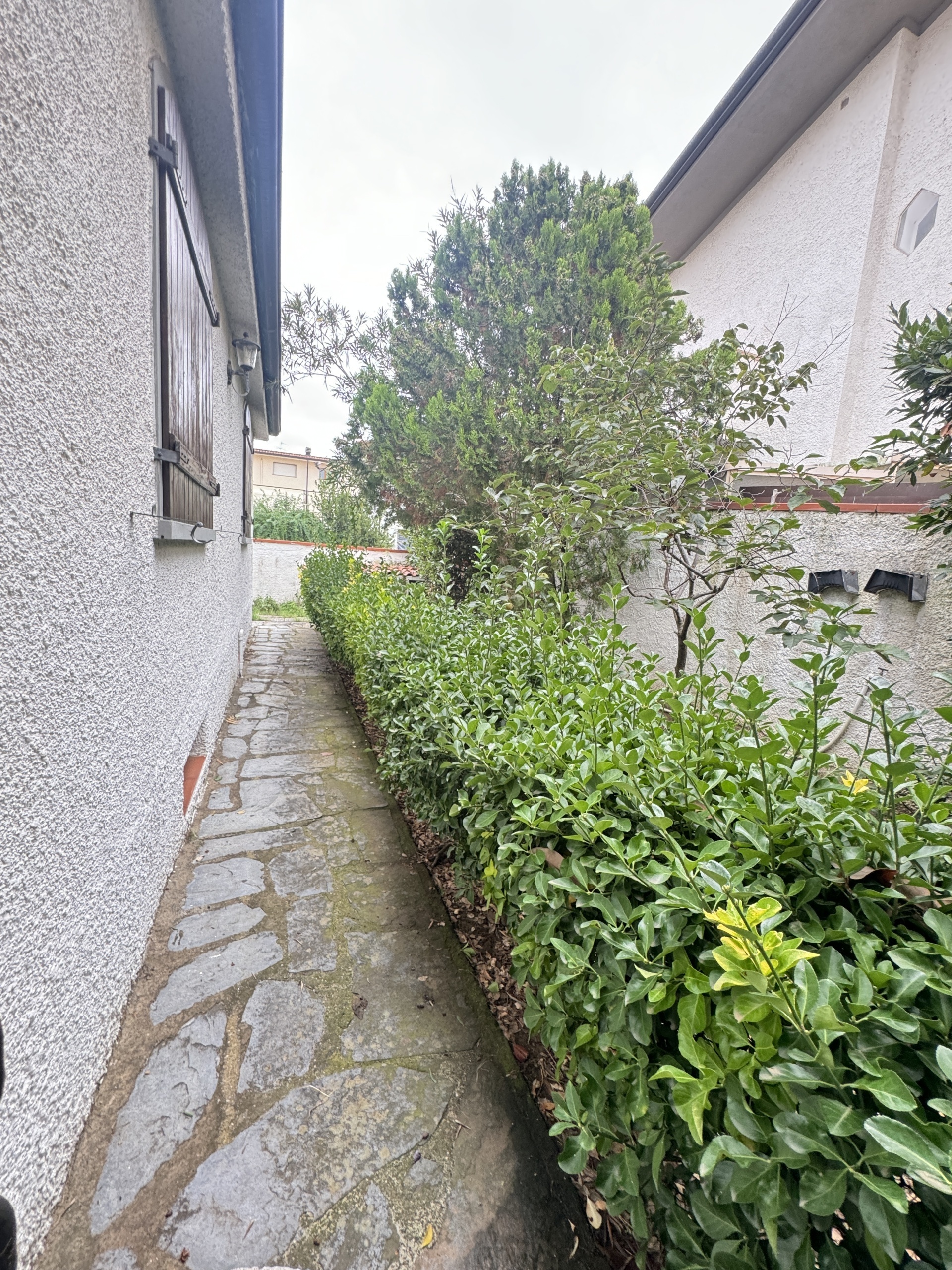 Immagine 25 di Casa indipendente in vendita  a Viareggio