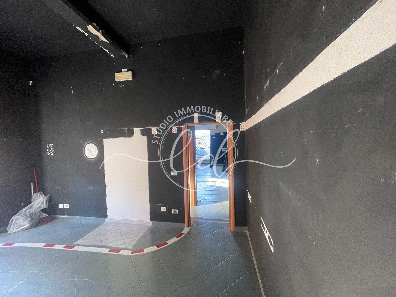 Immagine 2 di Capannone industriale in vendita  a Pietrasanta