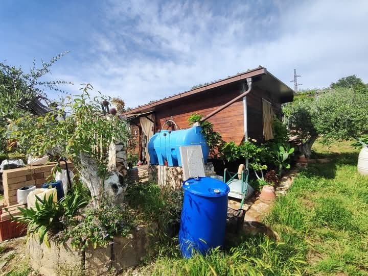 Immagine 6 di Terreno agricolo in vendita  in via monte palombino a Fonte Nuova