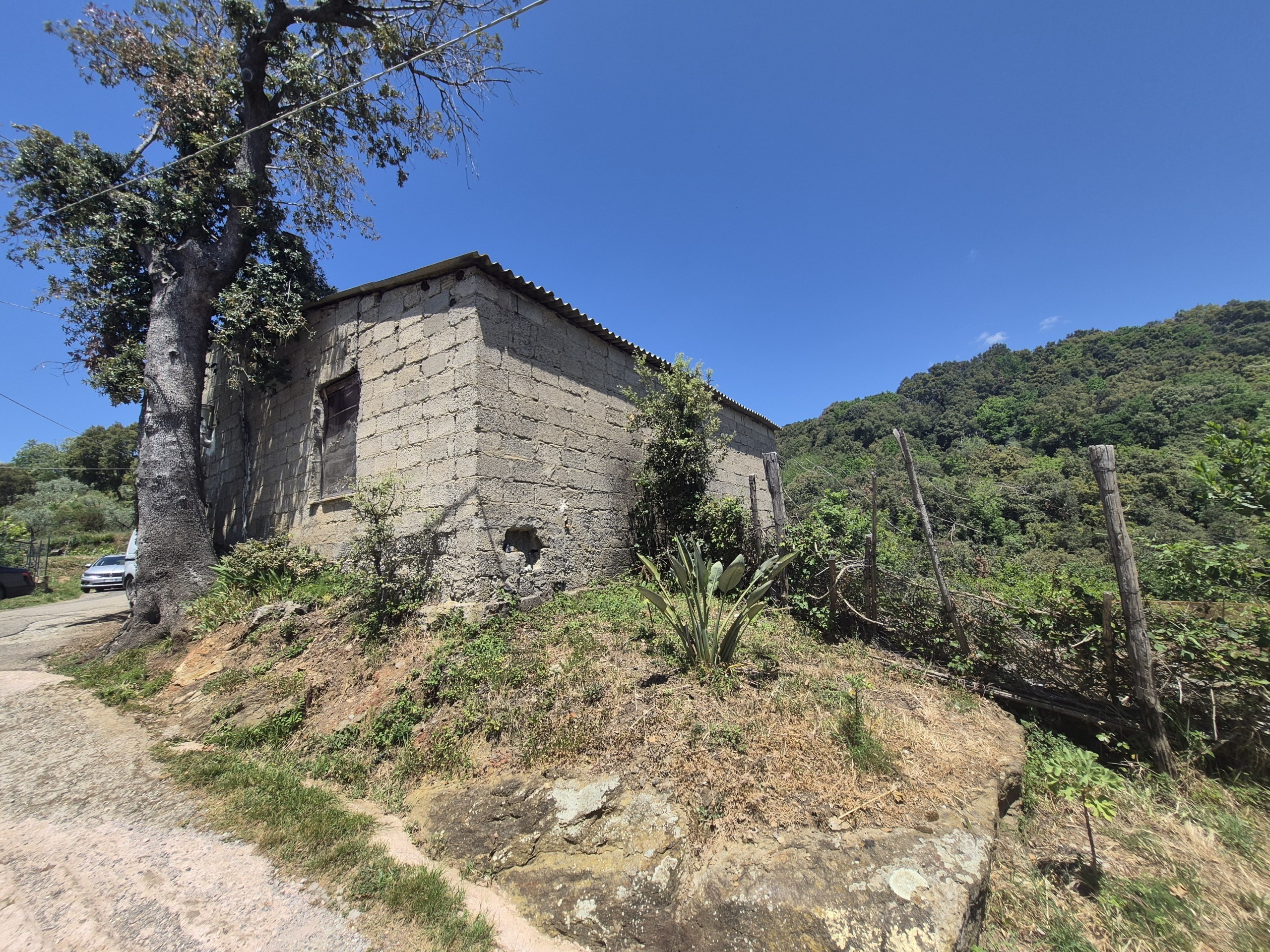 Foto annuncio 18