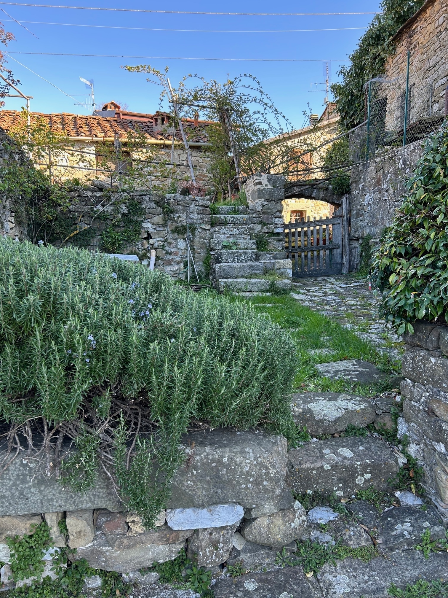 Foto annuncio 23