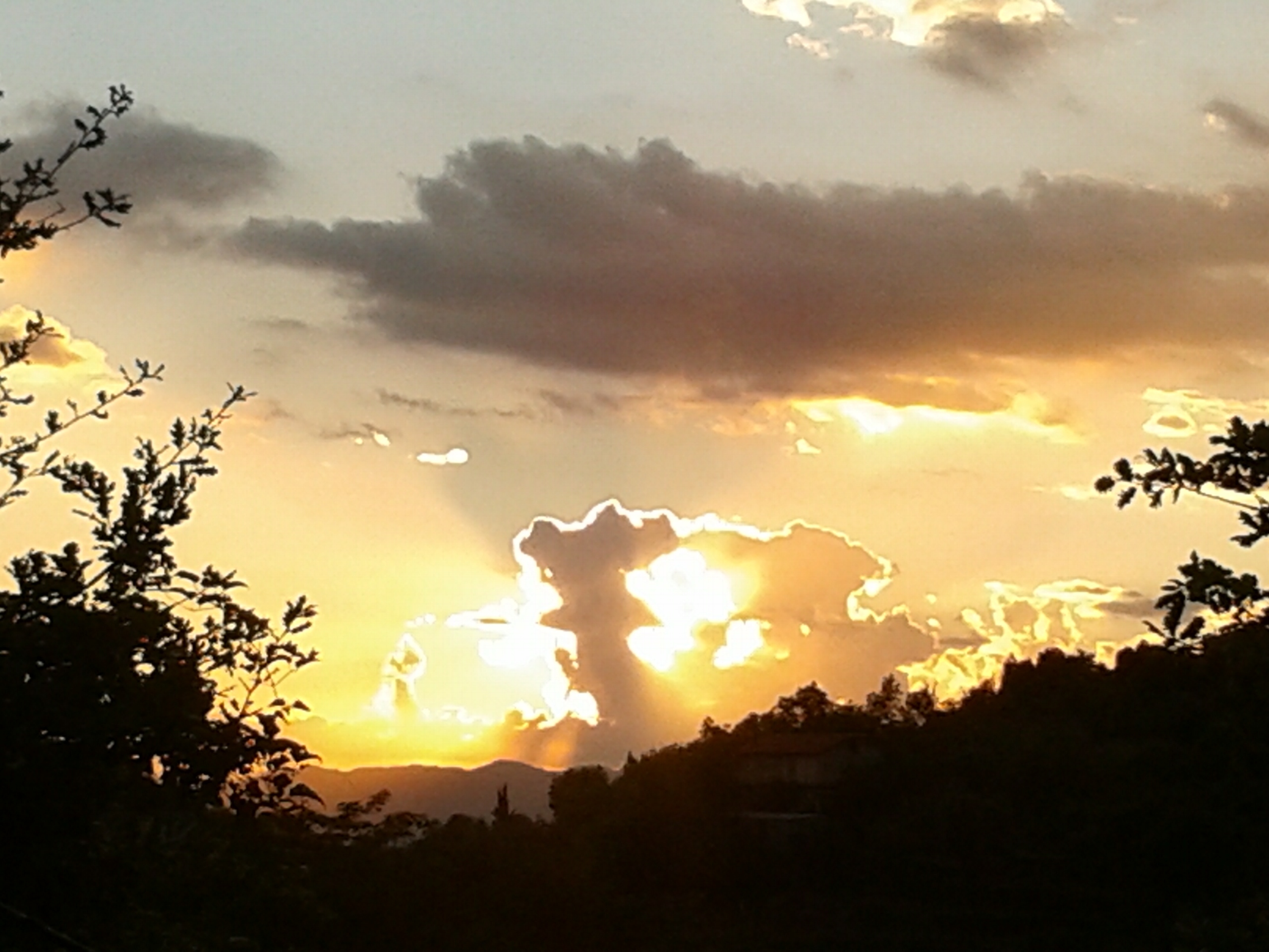 Foto annuncio 65