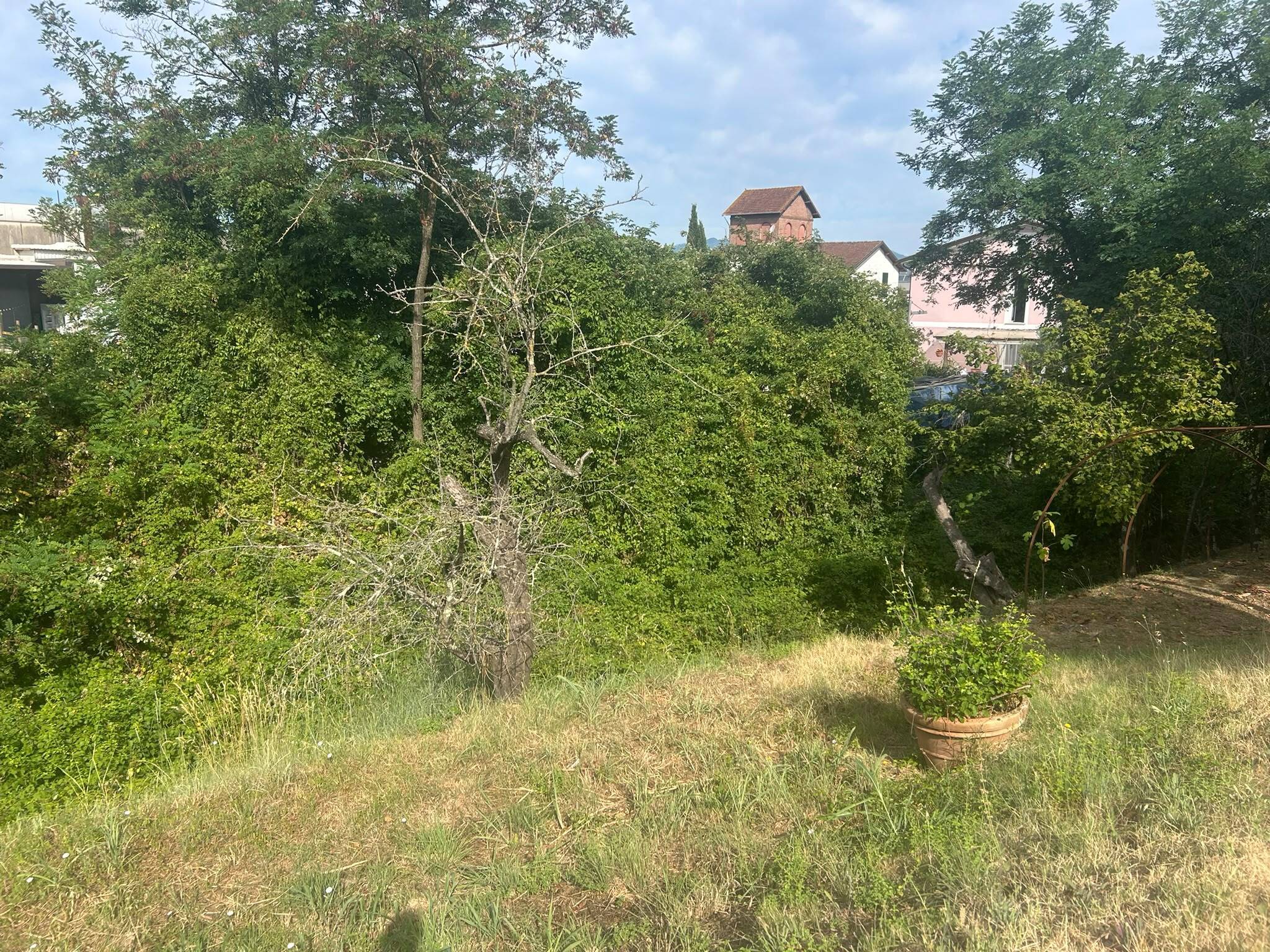 Foto annuncio 23
