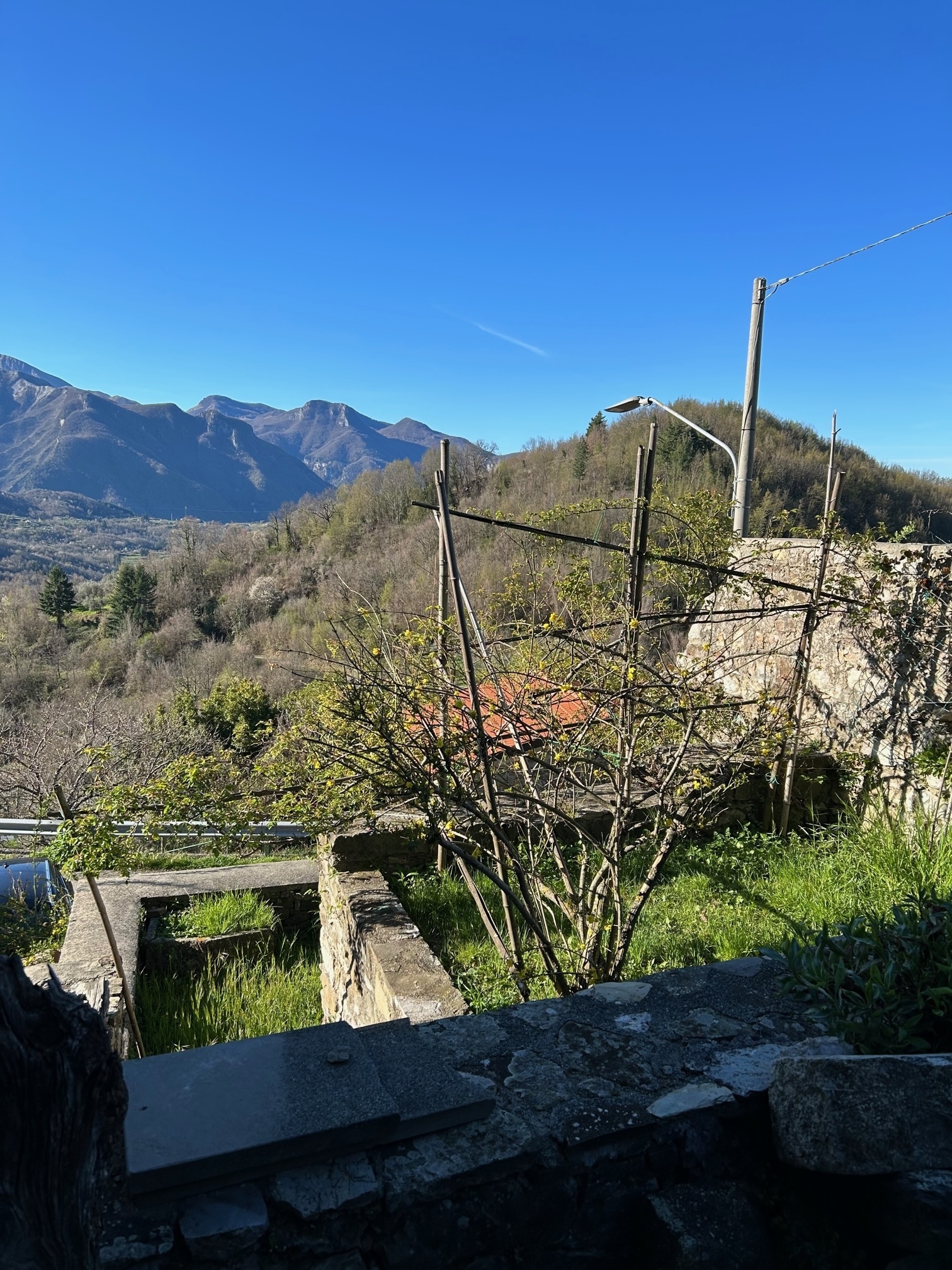 Foto annuncio 24