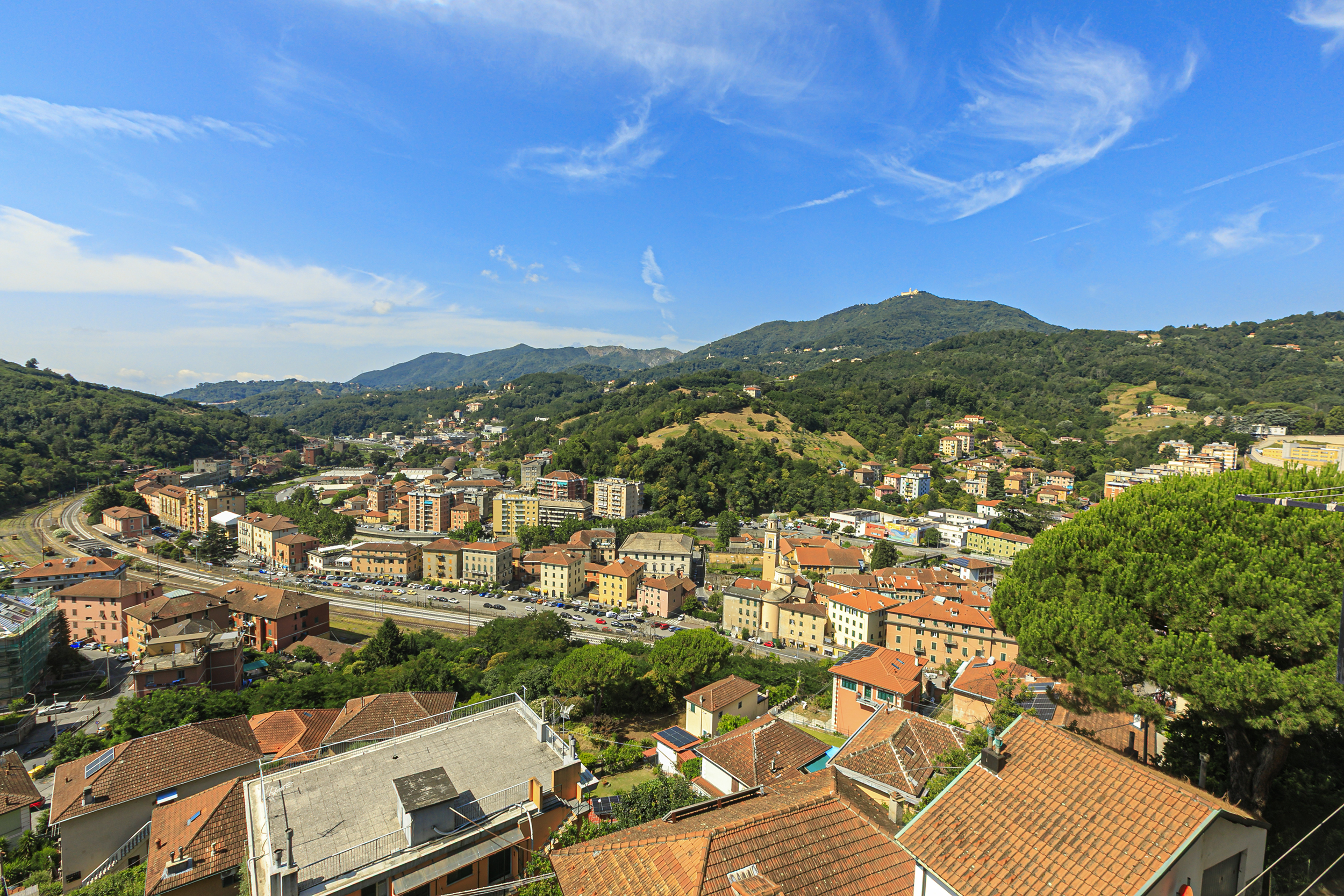 Foto annuncio 31