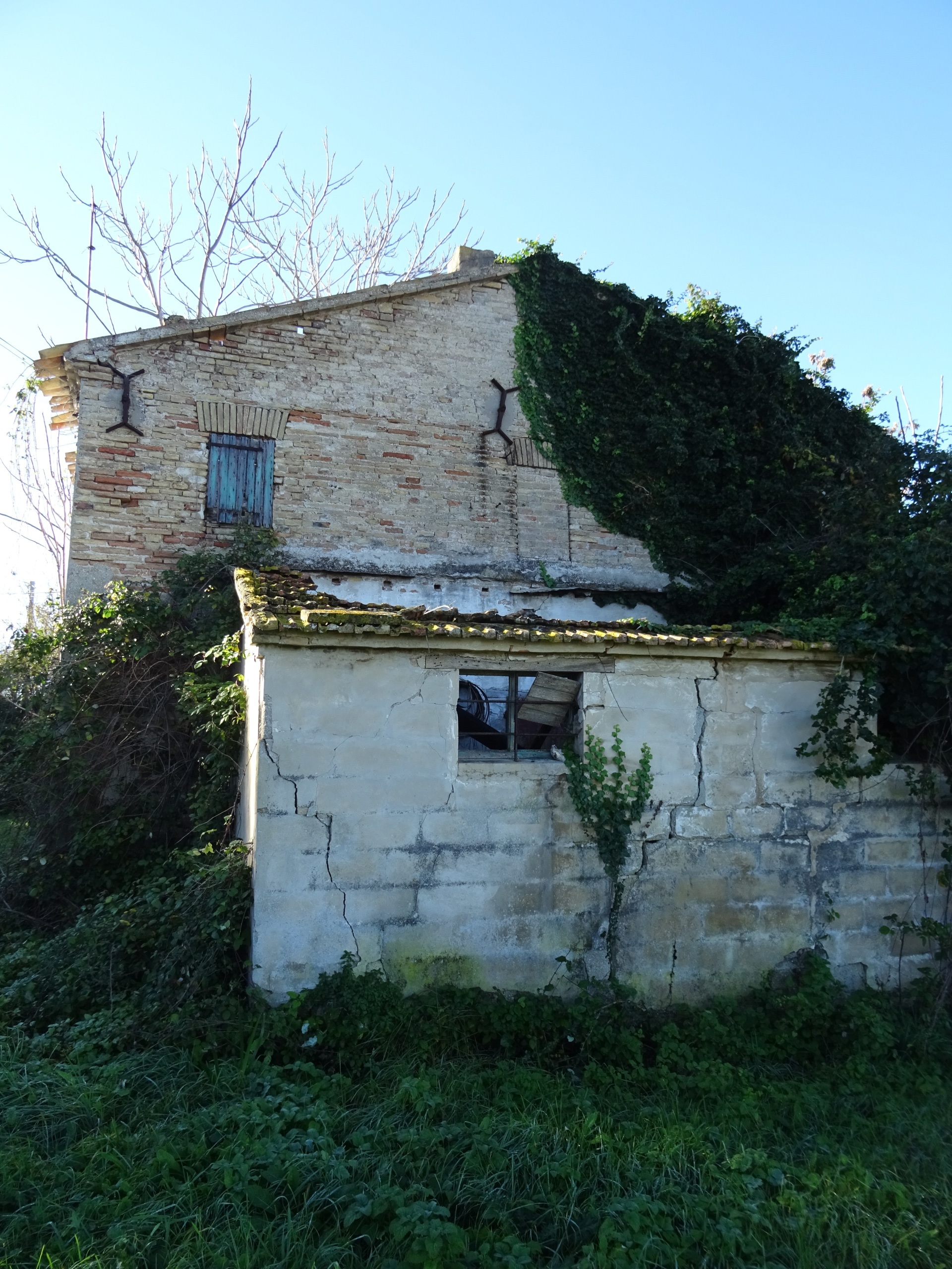 Foto annuncio 9