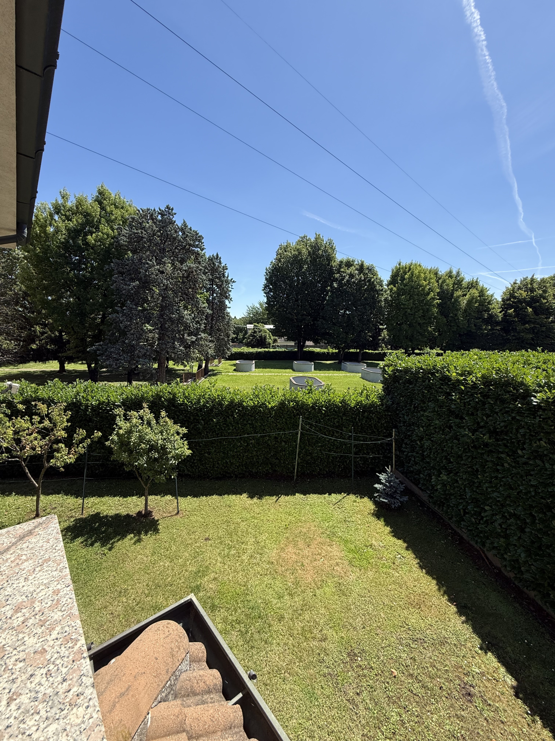 Foto annuncio 75
