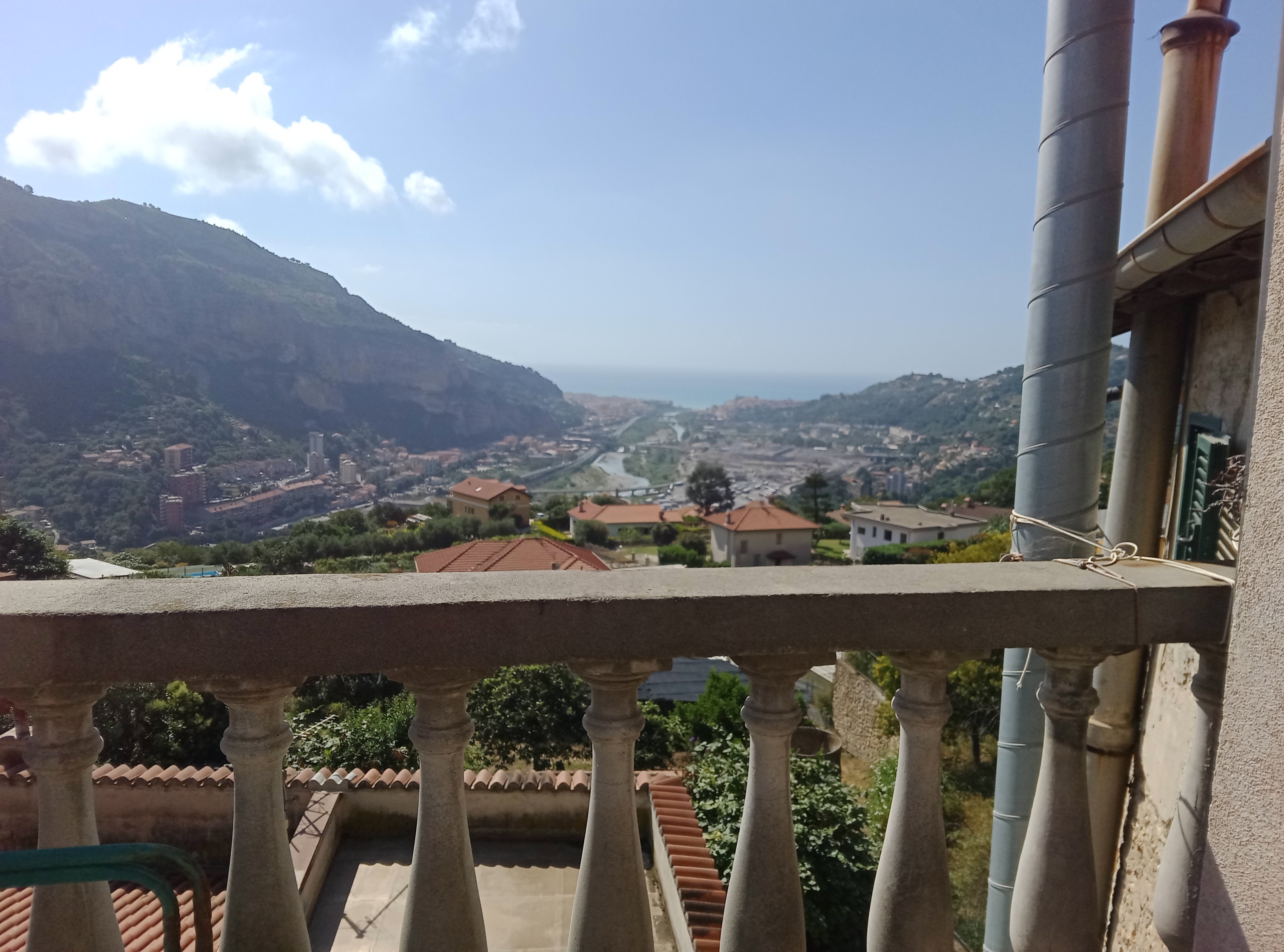 Foto annuncio 12