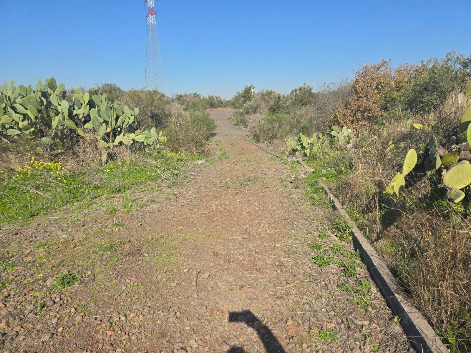 Foto annuncio 22