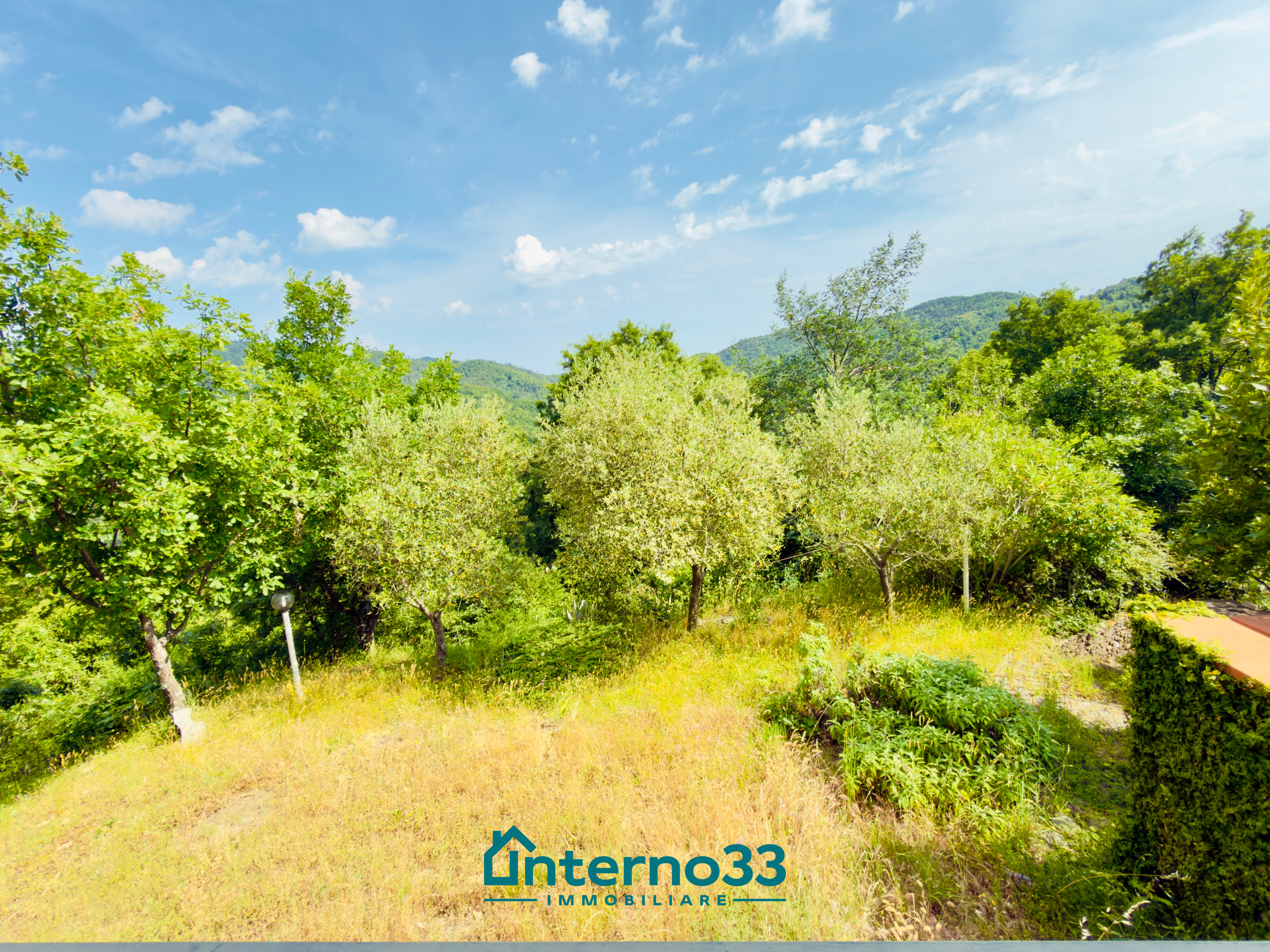 Foto annuncio 15