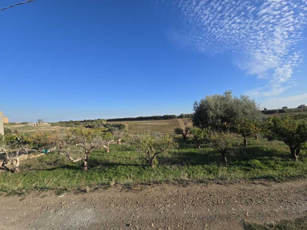 Foto annuncio 7