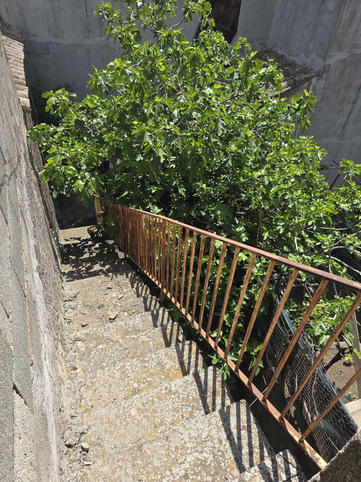 Foto annuncio 11