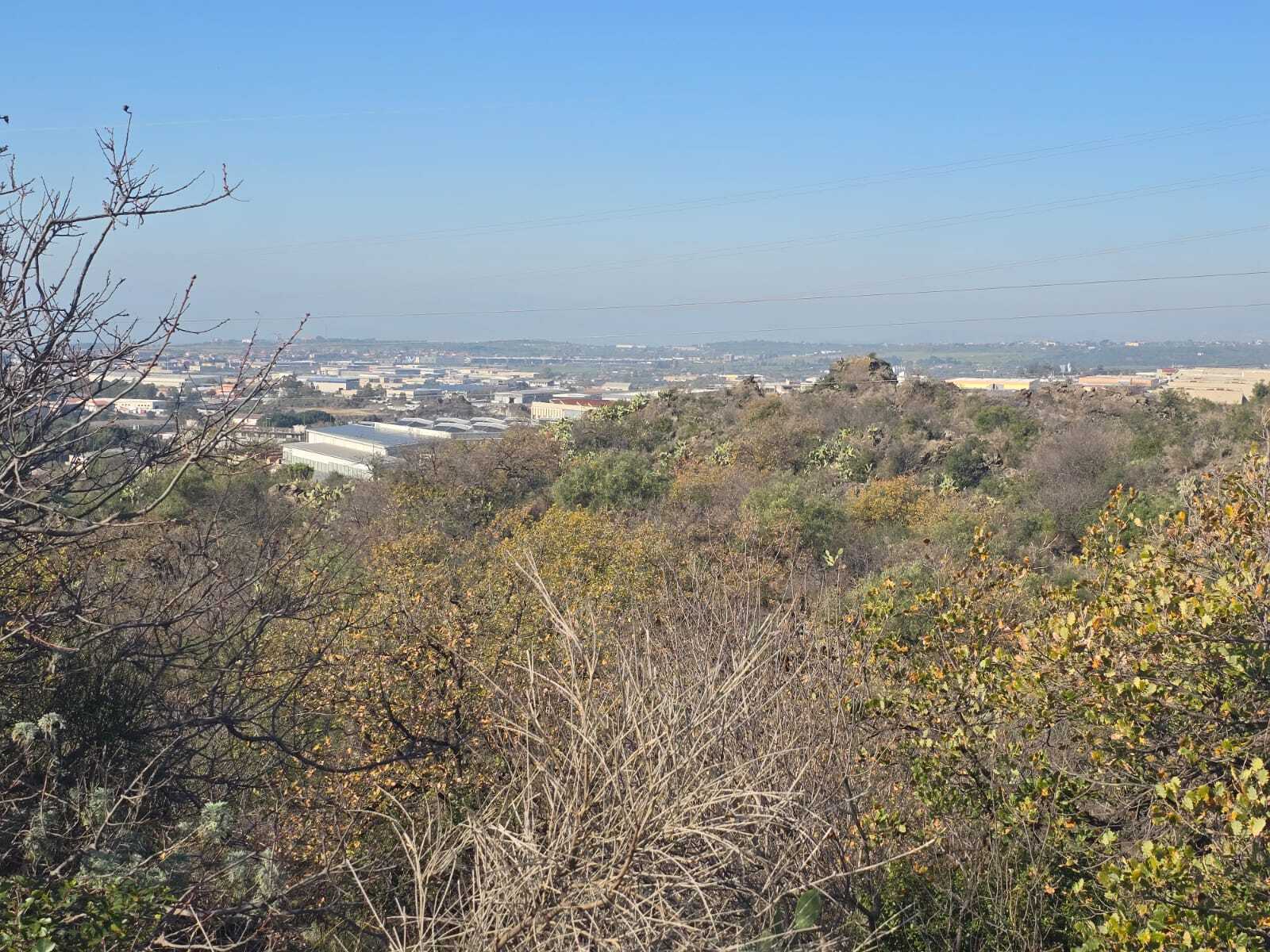 Foto annuncio 30