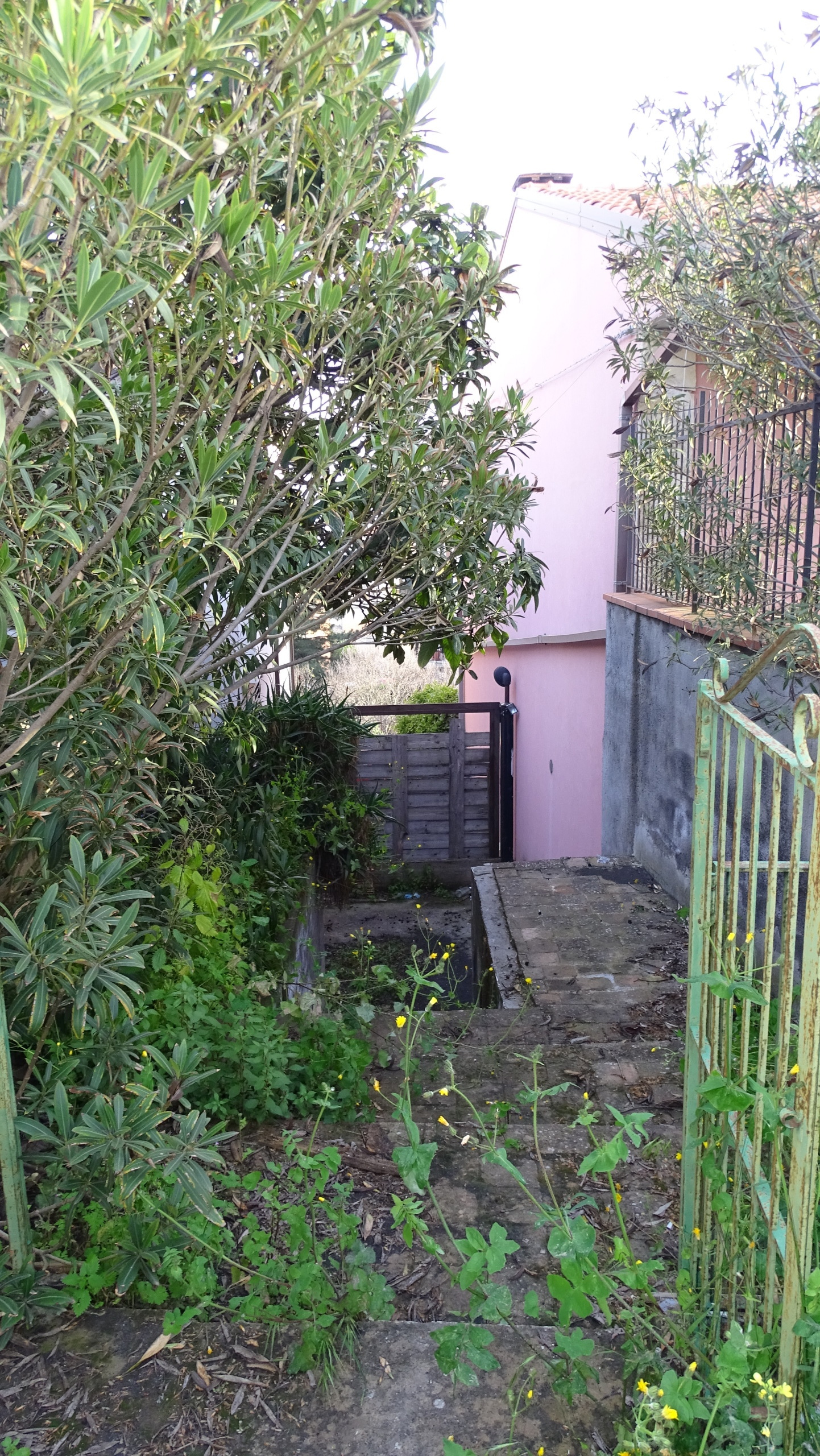Foto annuncio 24