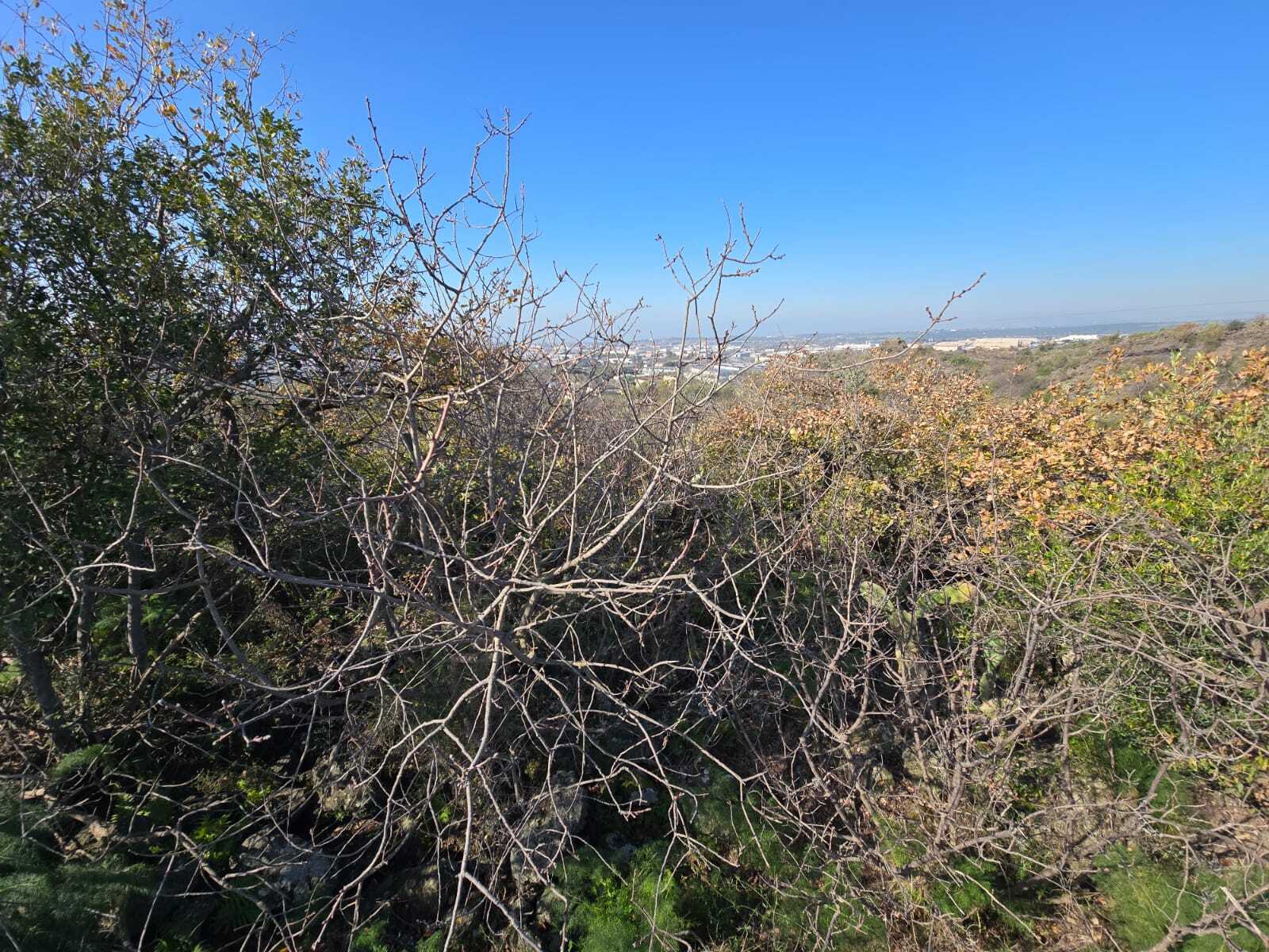 Foto annuncio 29