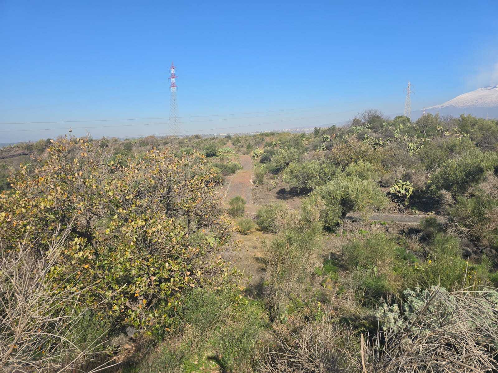 Foto annuncio 28