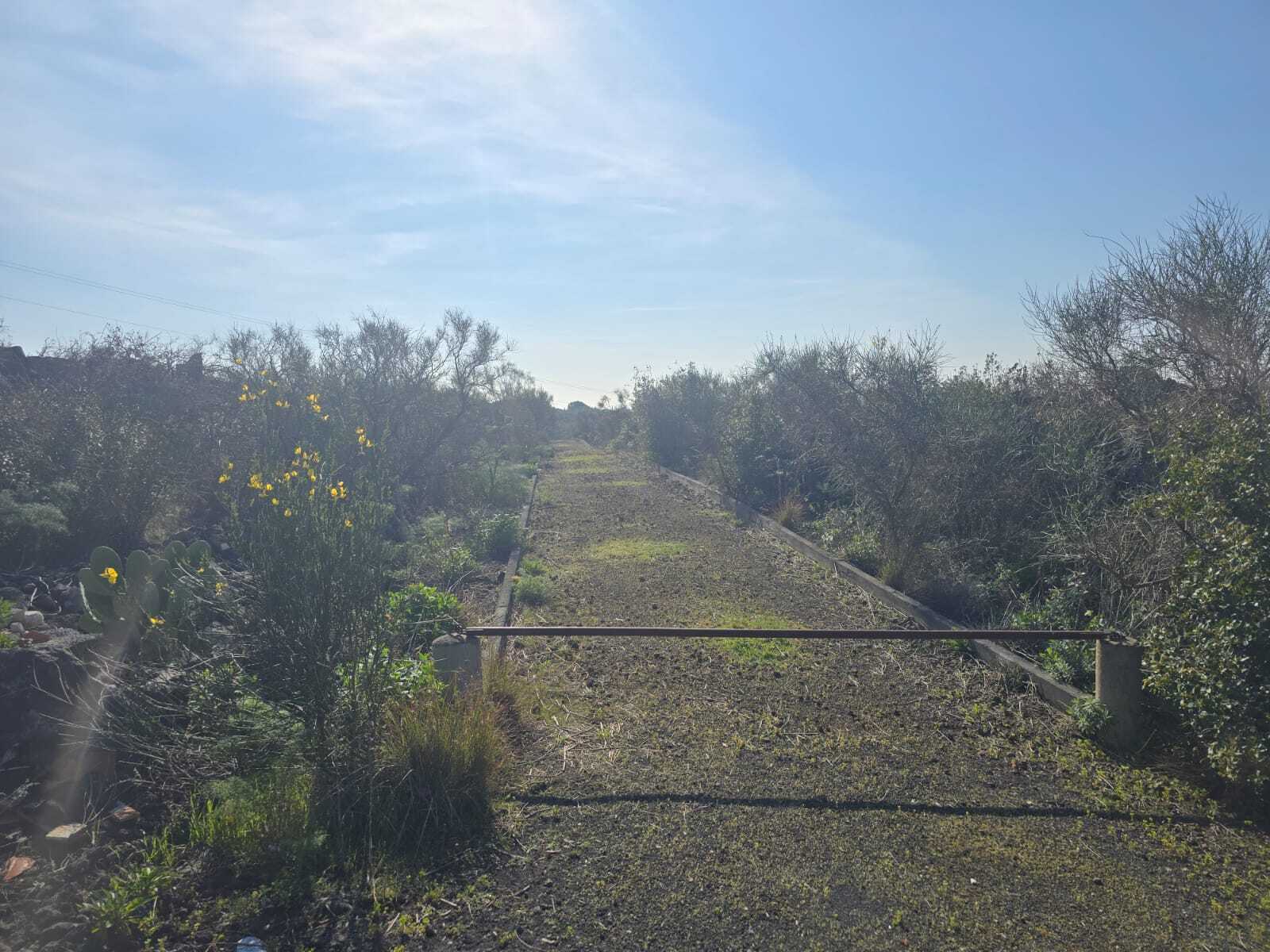 Foto annuncio 41
