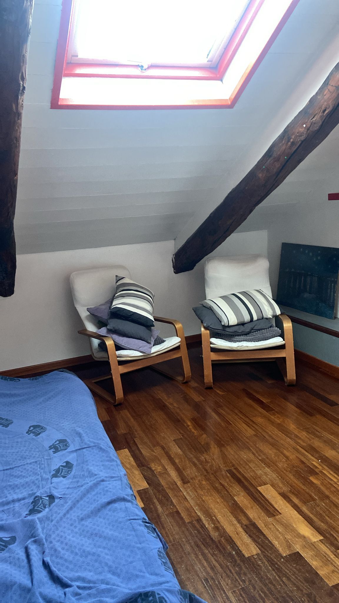 Foto annuncio 9