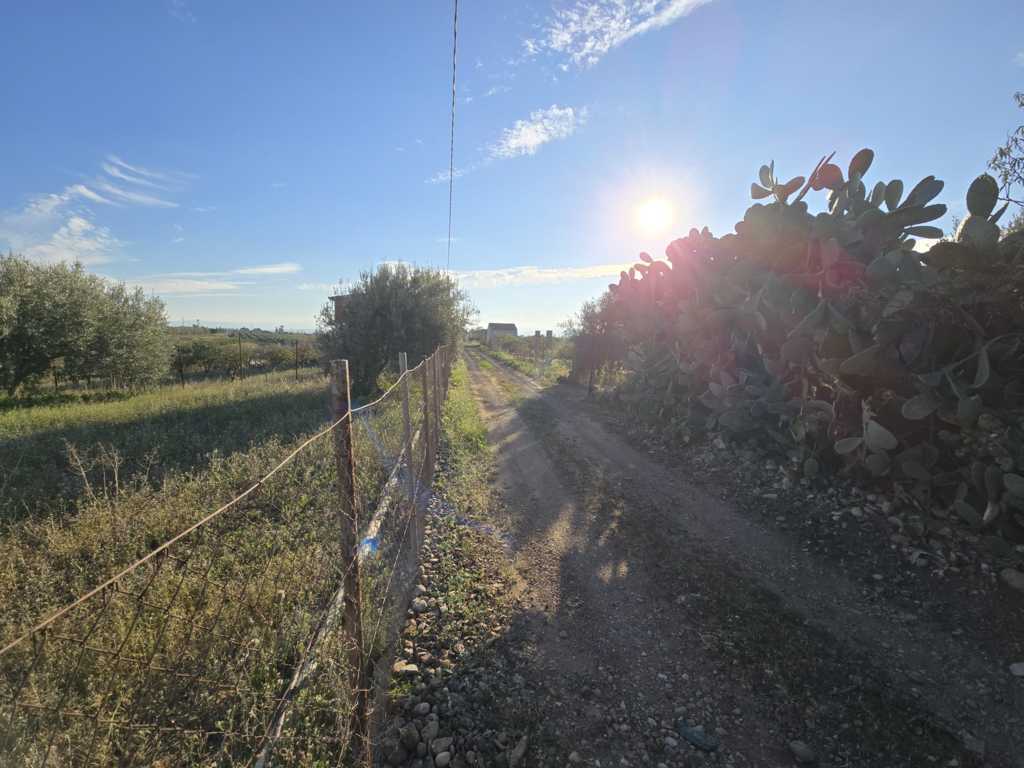 Foto annuncio 11