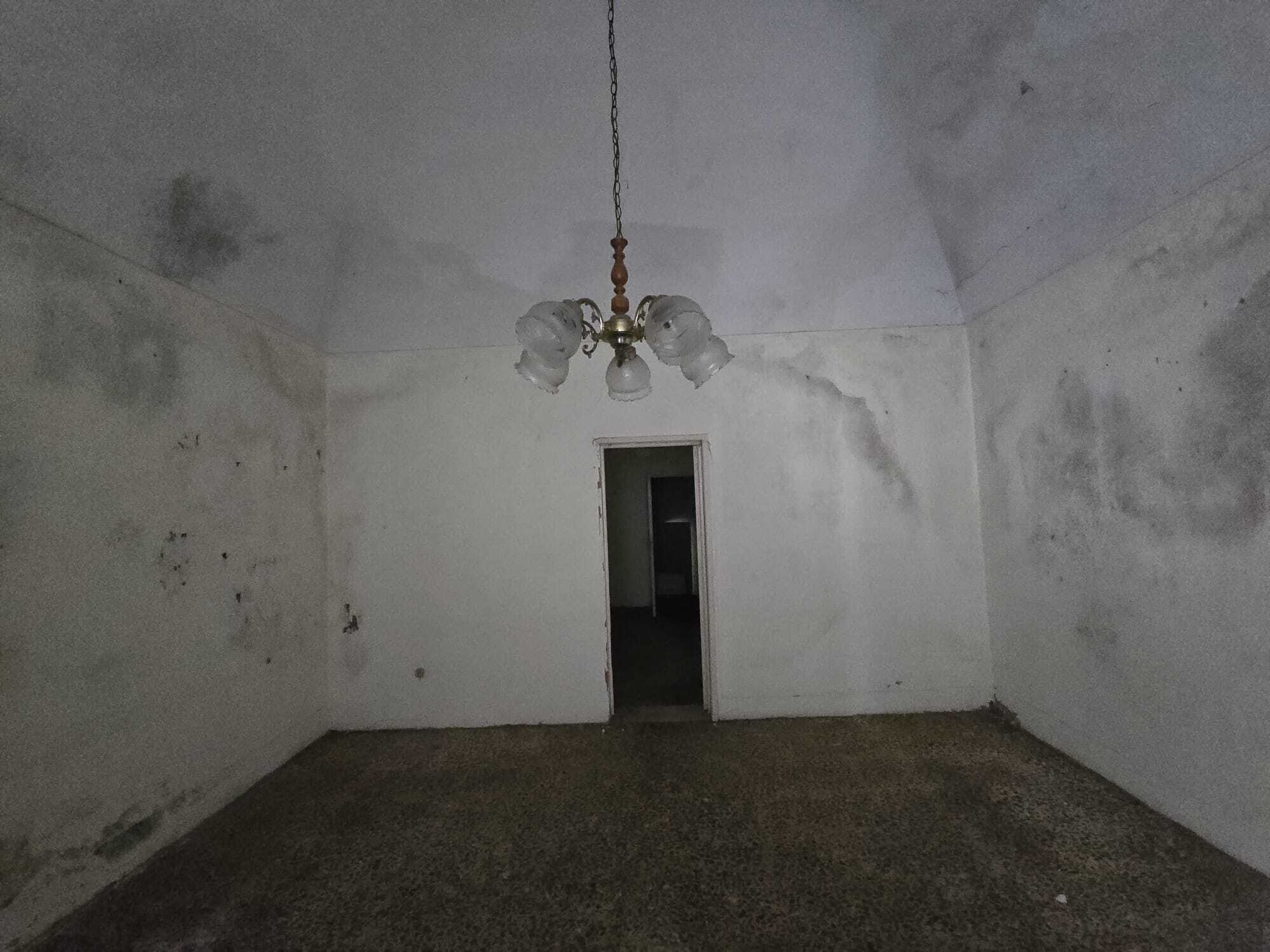 Foto annuncio 12