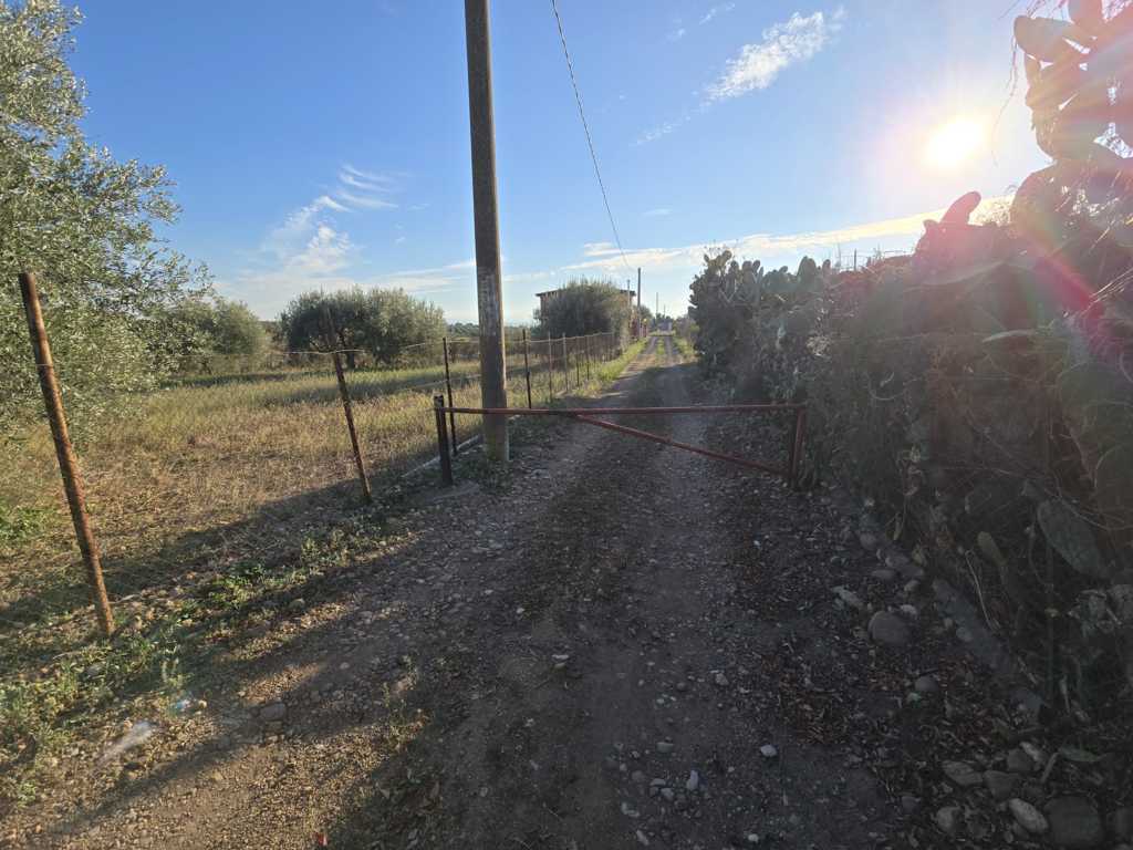 Foto annuncio 6