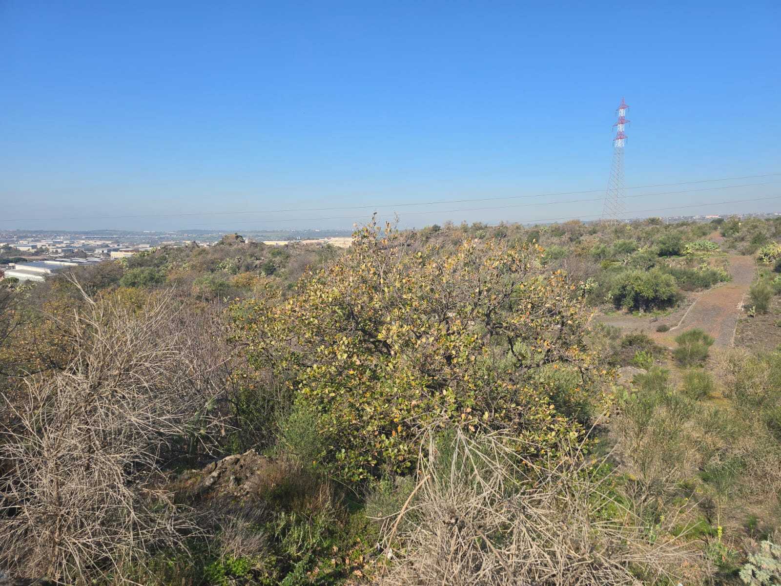 Foto annuncio 32
