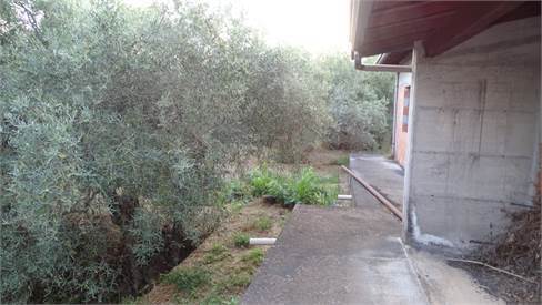 Foto annuncio 9