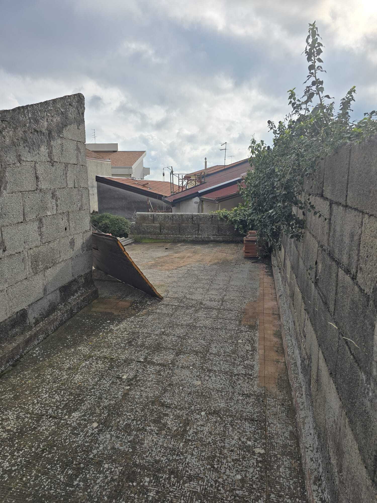 Foto annuncio 21