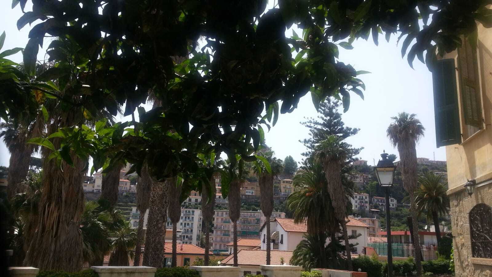 Foto annuncio 28