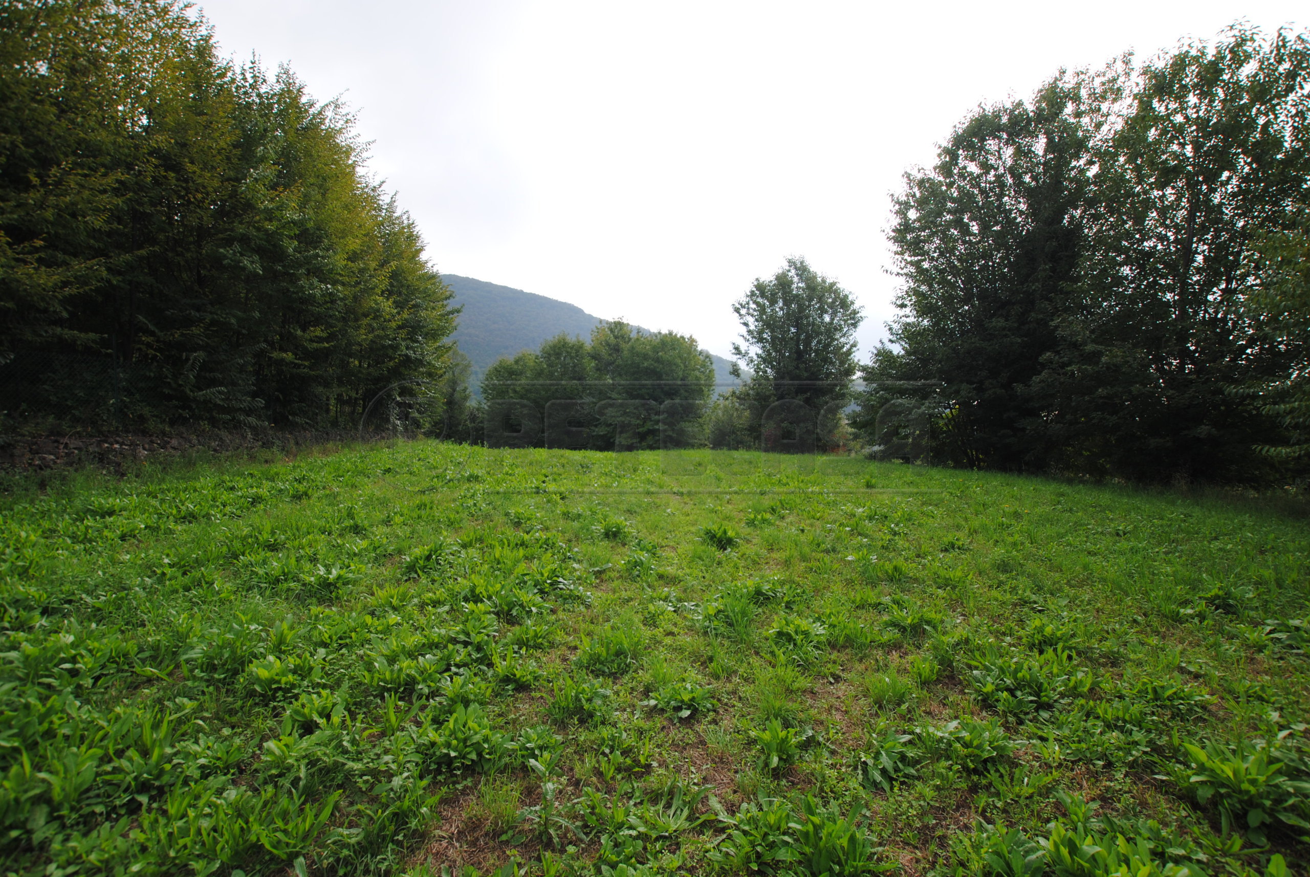 Immagine 3 di Terreno edificabile in vendita  in Via Tovi a Cornedo Vicentino
