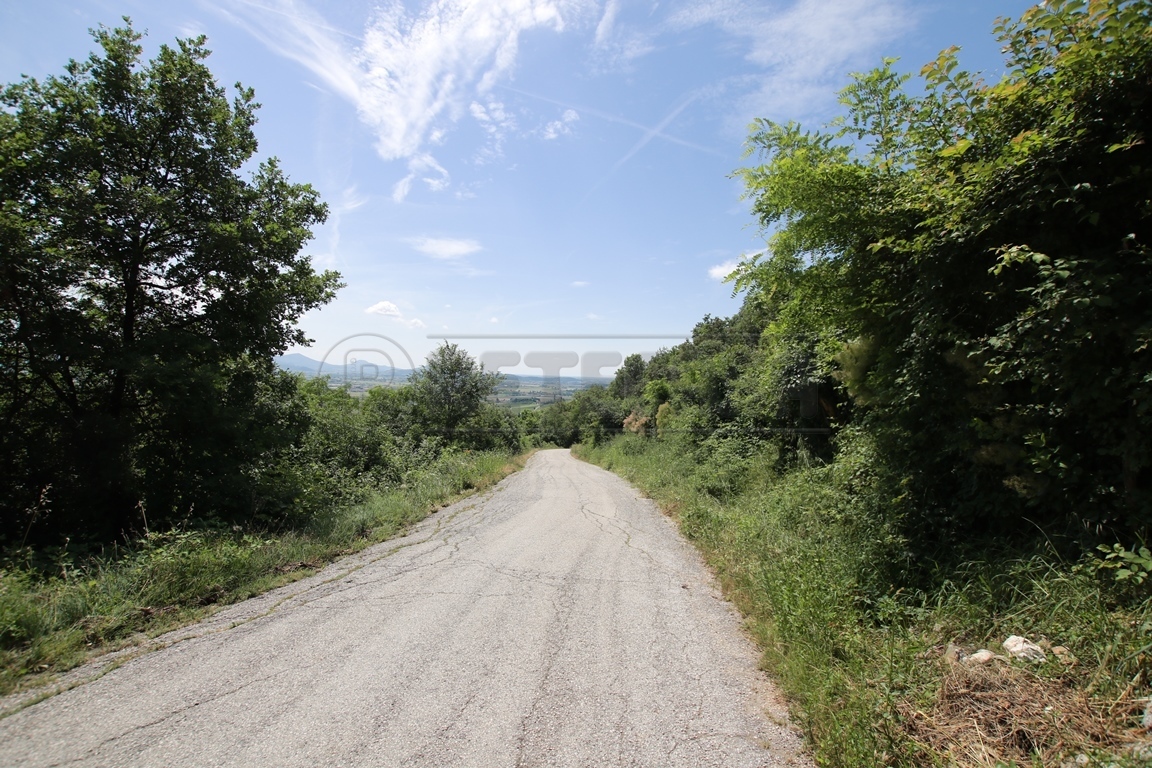 Immagine 15 di Terreno agricolo in vendita  in Via Castellaro a Castegnero