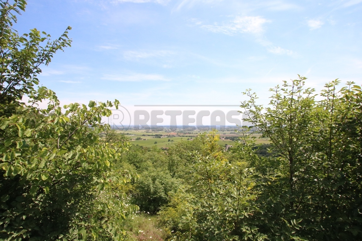 Immagine 4 di Terreno agricolo in vendita  in Via Castellaro a Castegnero