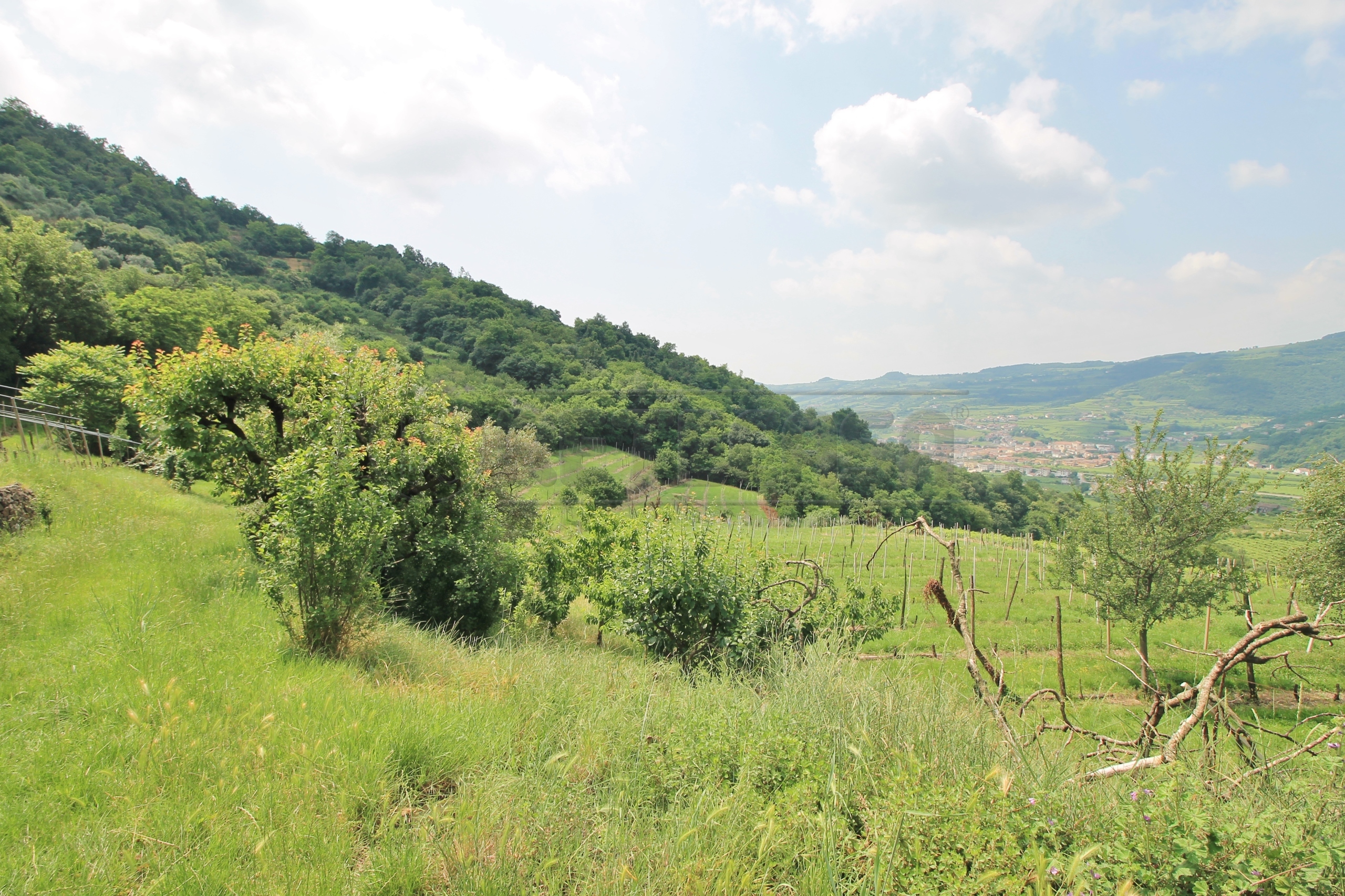 Immagine 29 di Rustico / casale in vendita  in Via Danesi di Sopra 50 a Montecchia Di Crosara