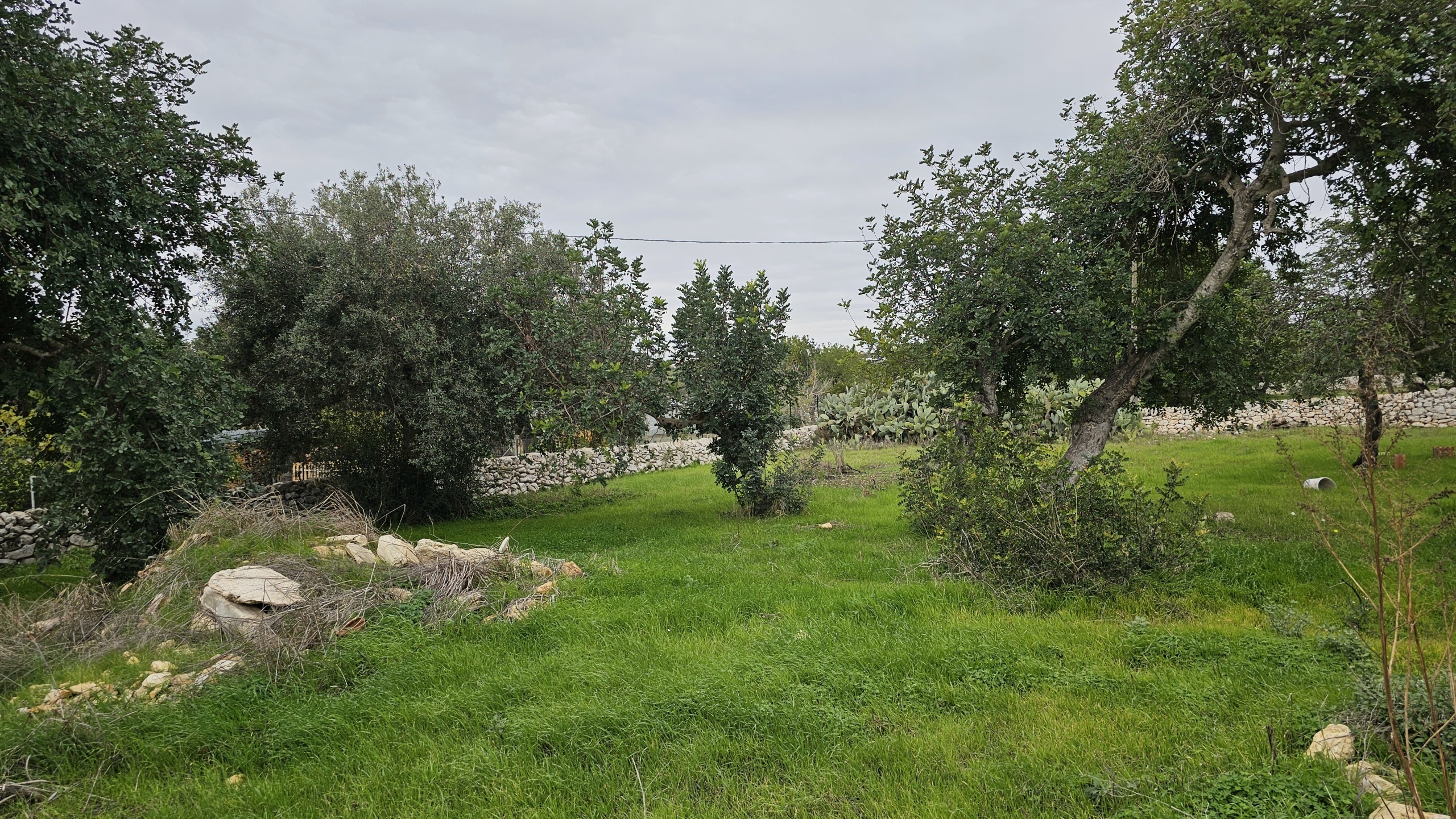 Immagine 10 di Villa in vendita  in Contrada San Giovanni Lo Pirato 122 a Scicli