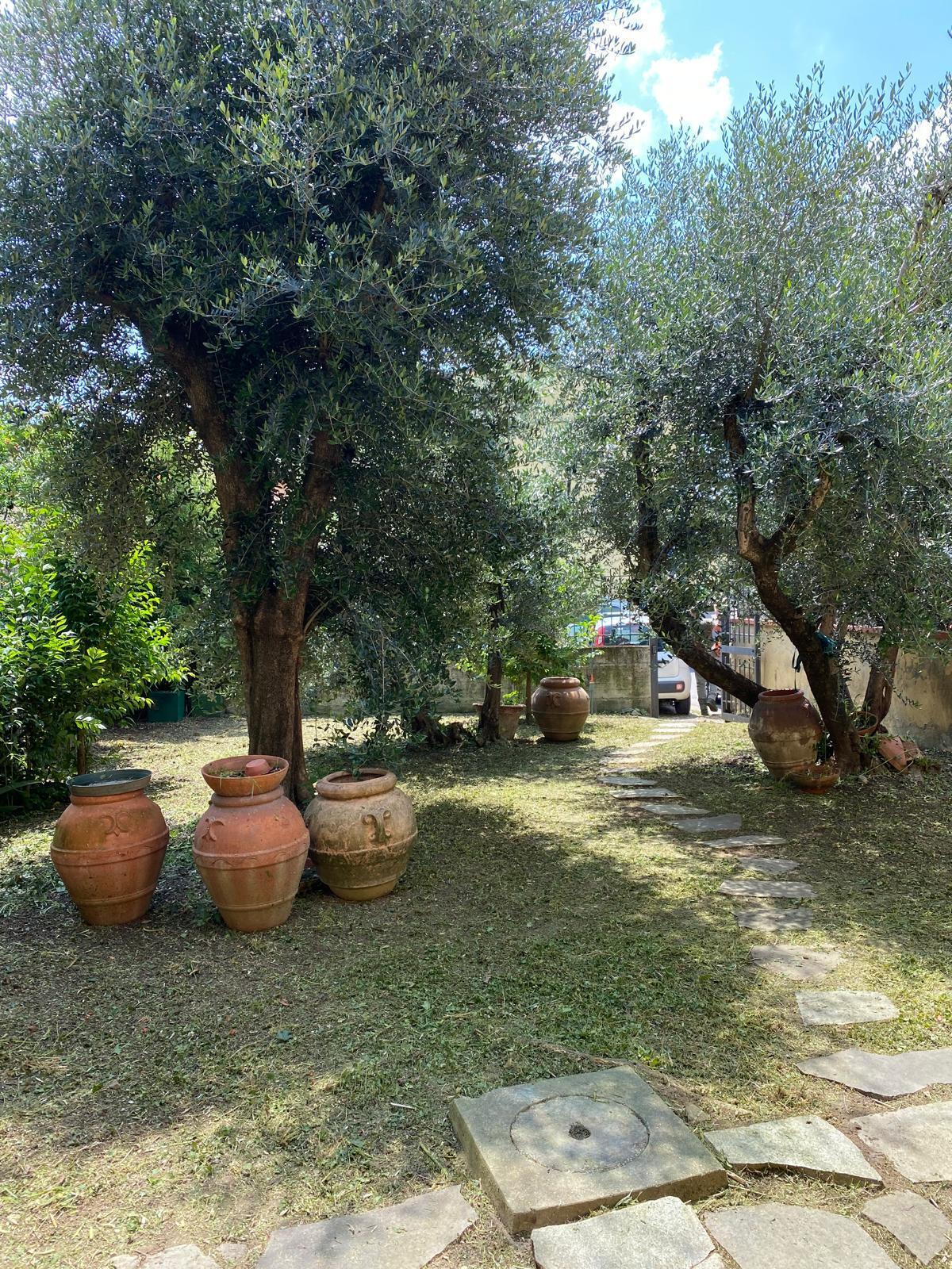 Foto annuncio 1
