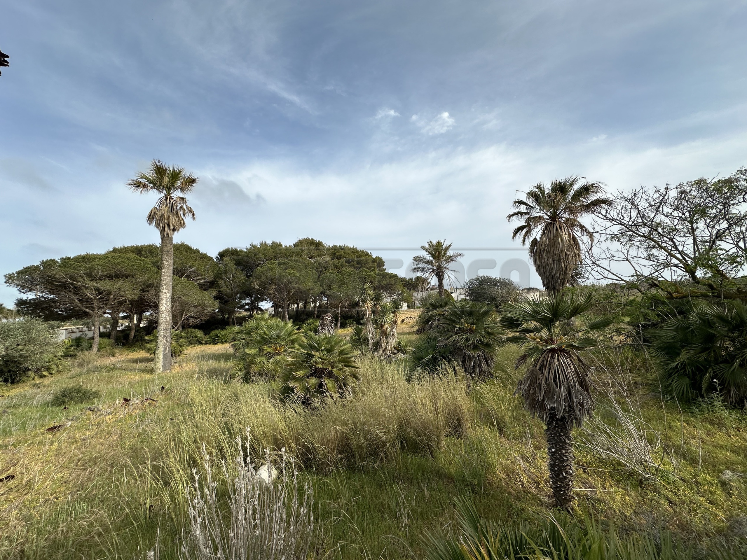 Immagine 9 di Villa in vendita  a Mazara Del Vallo